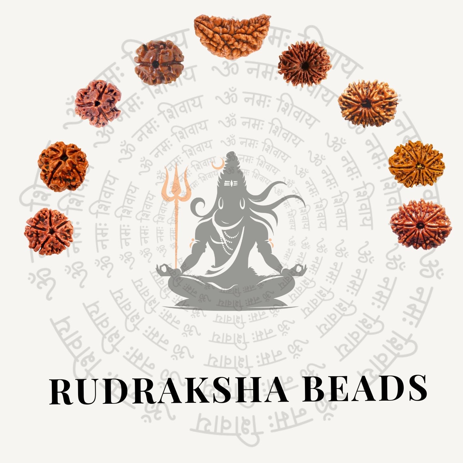 Rudraksha Beads