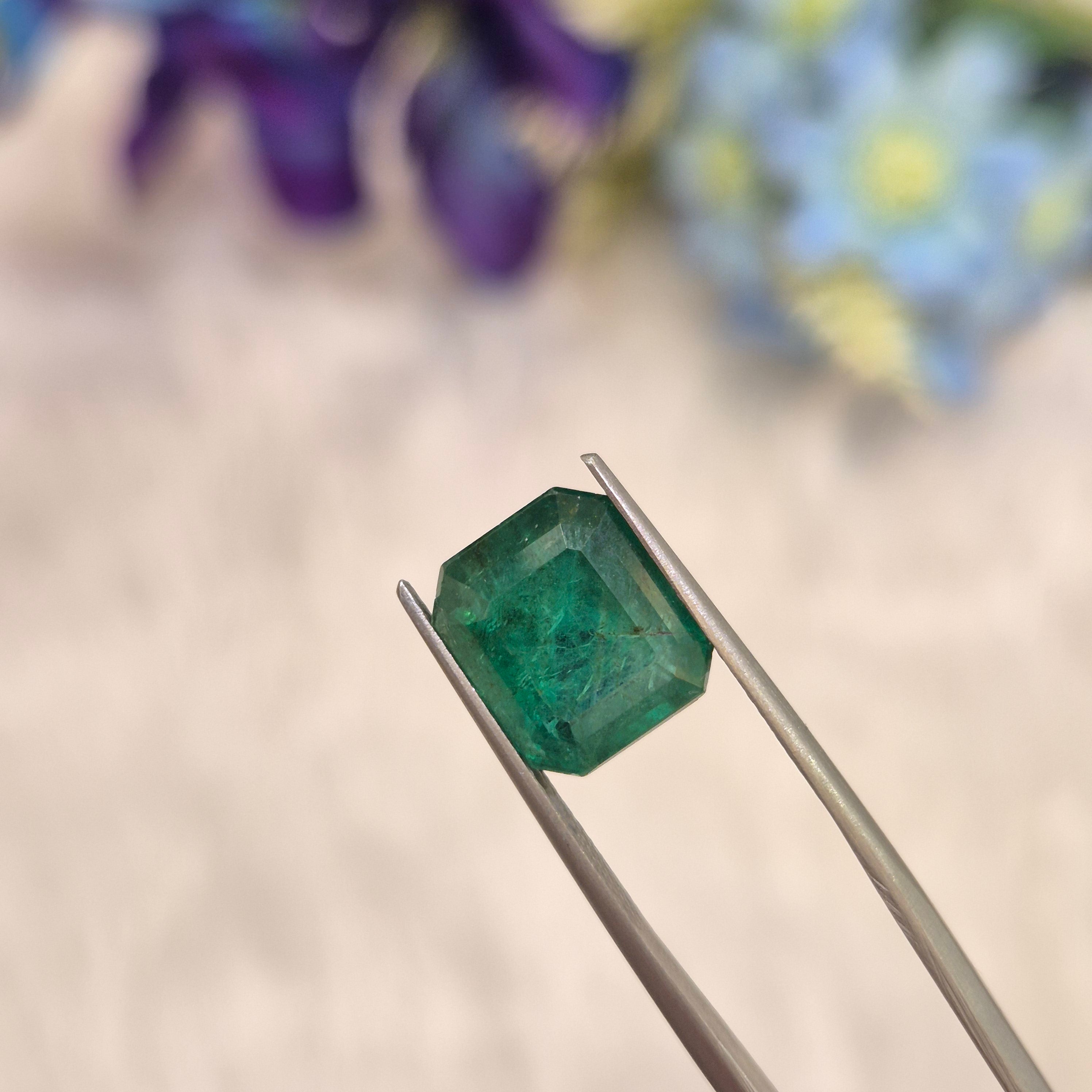 Emerald | EM 559 | 5.55 Carat