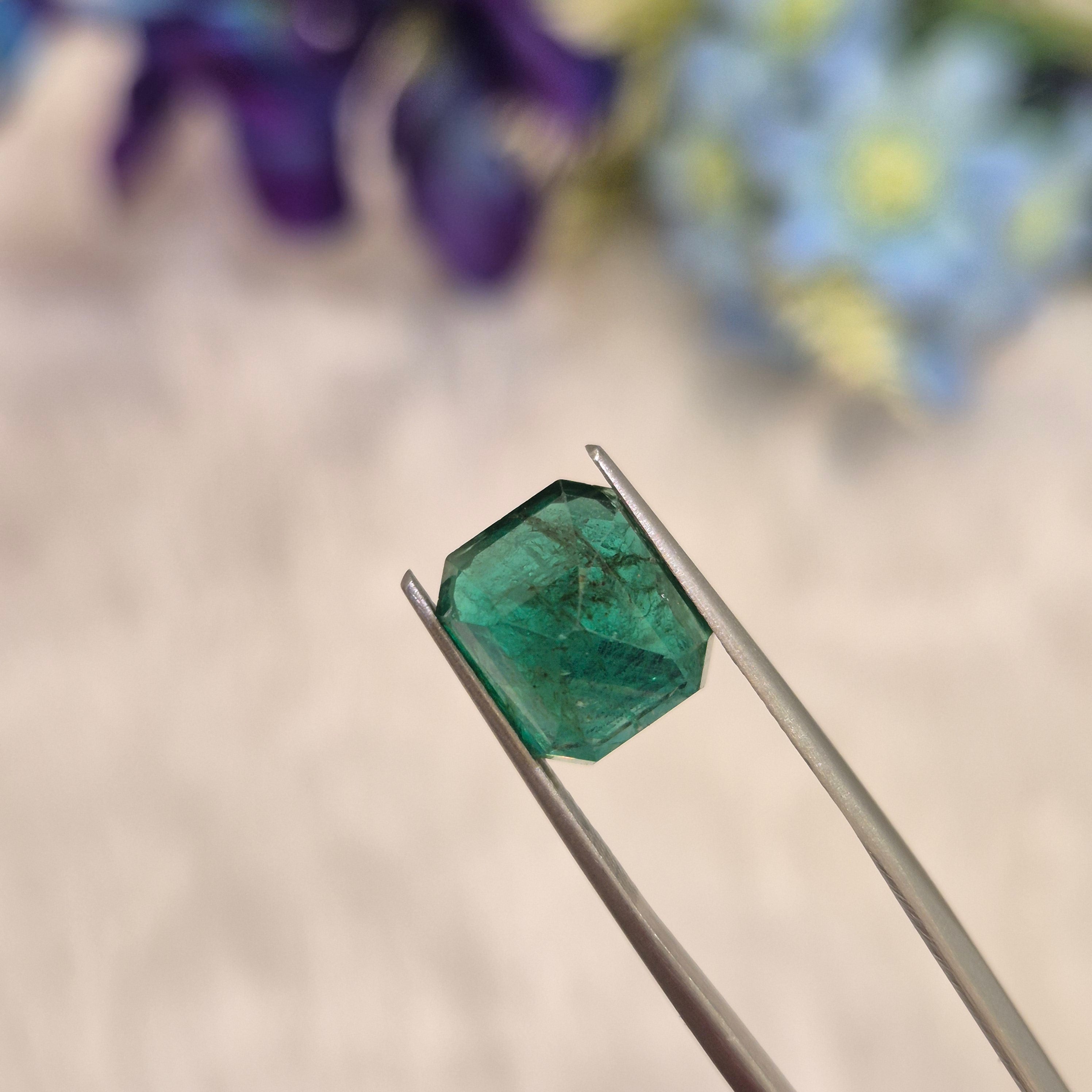Emerald | EM 559 | 5.55 Carat