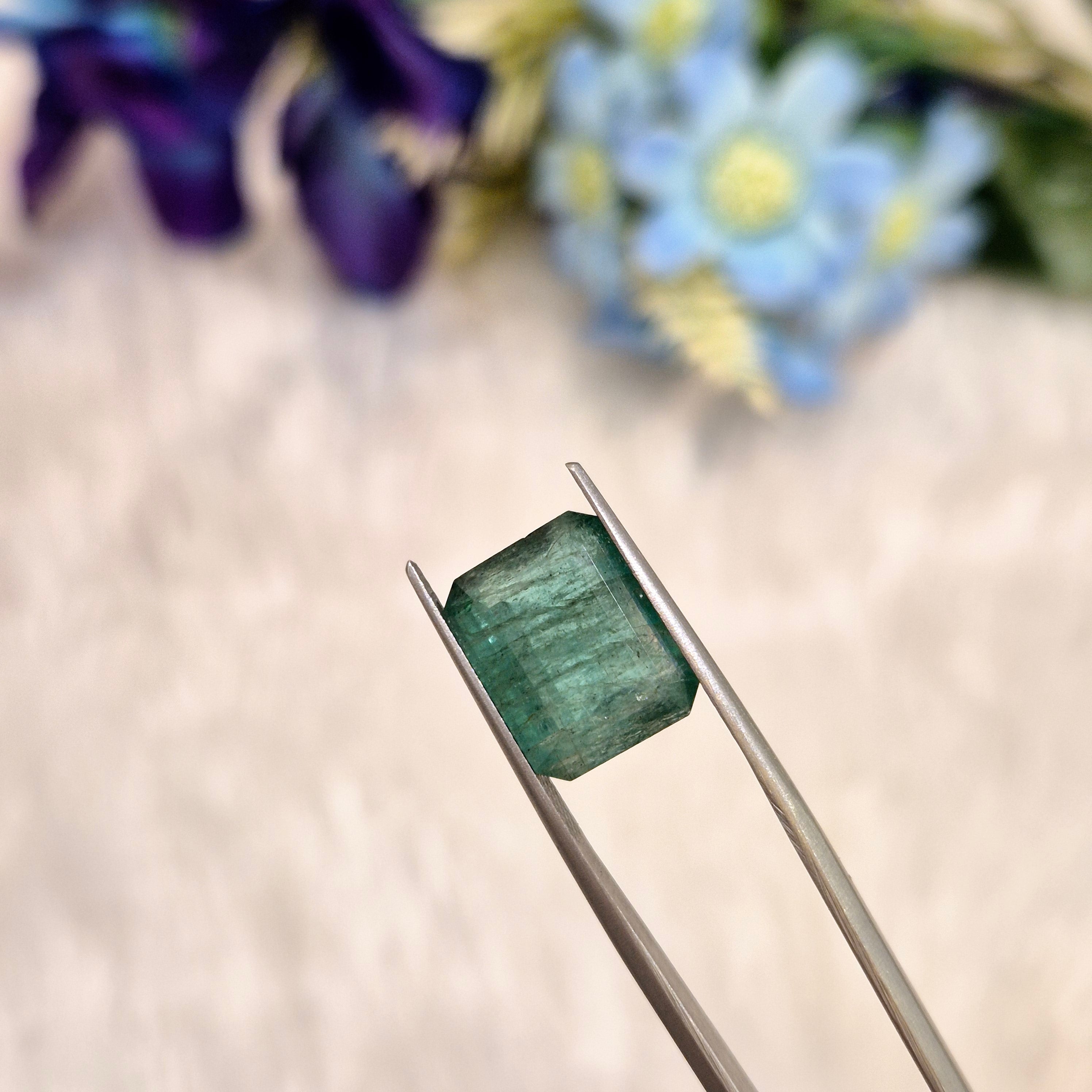 Emerald | EM 555 | 6.78 Carat