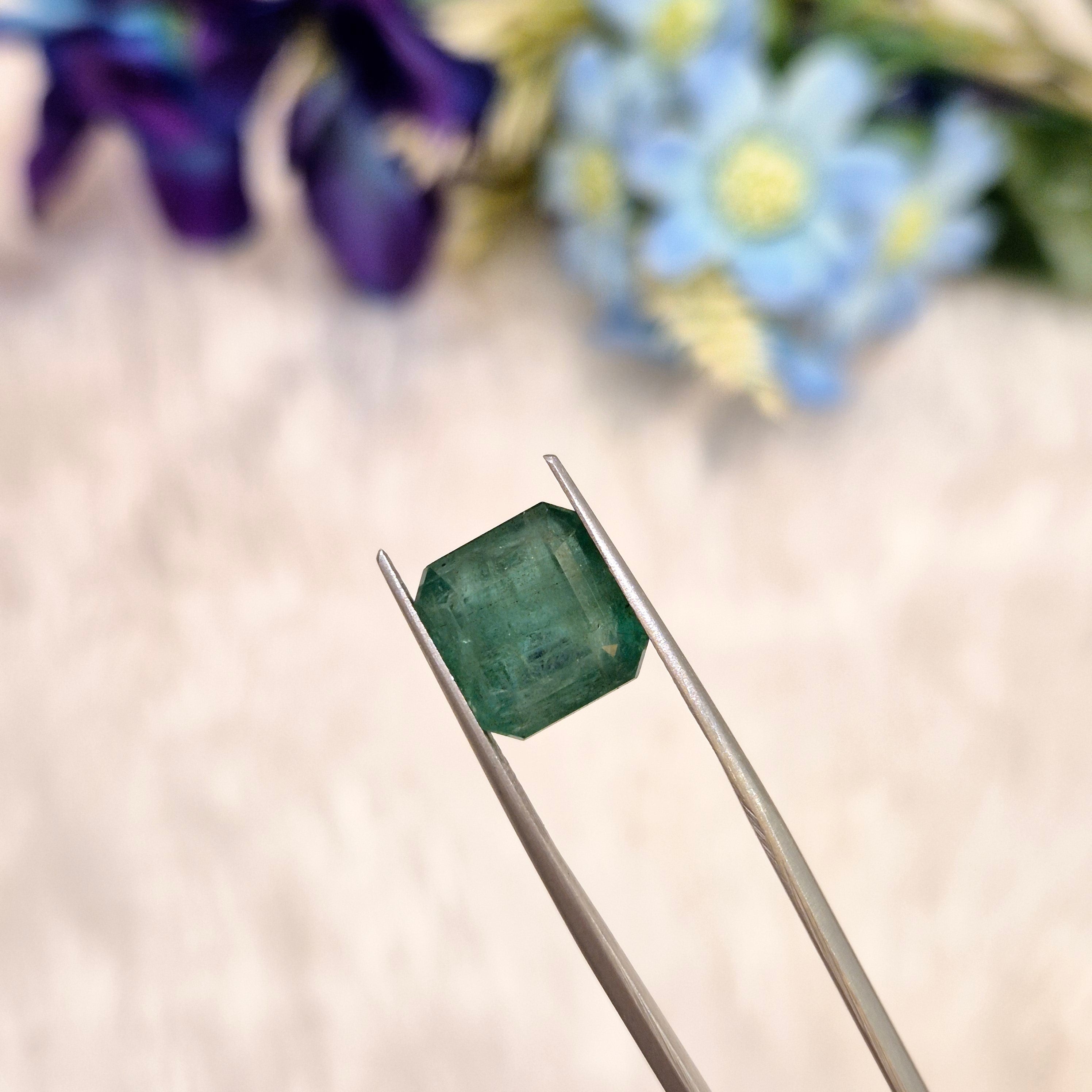 Emerald | EM 556 | 6.43 Carat
