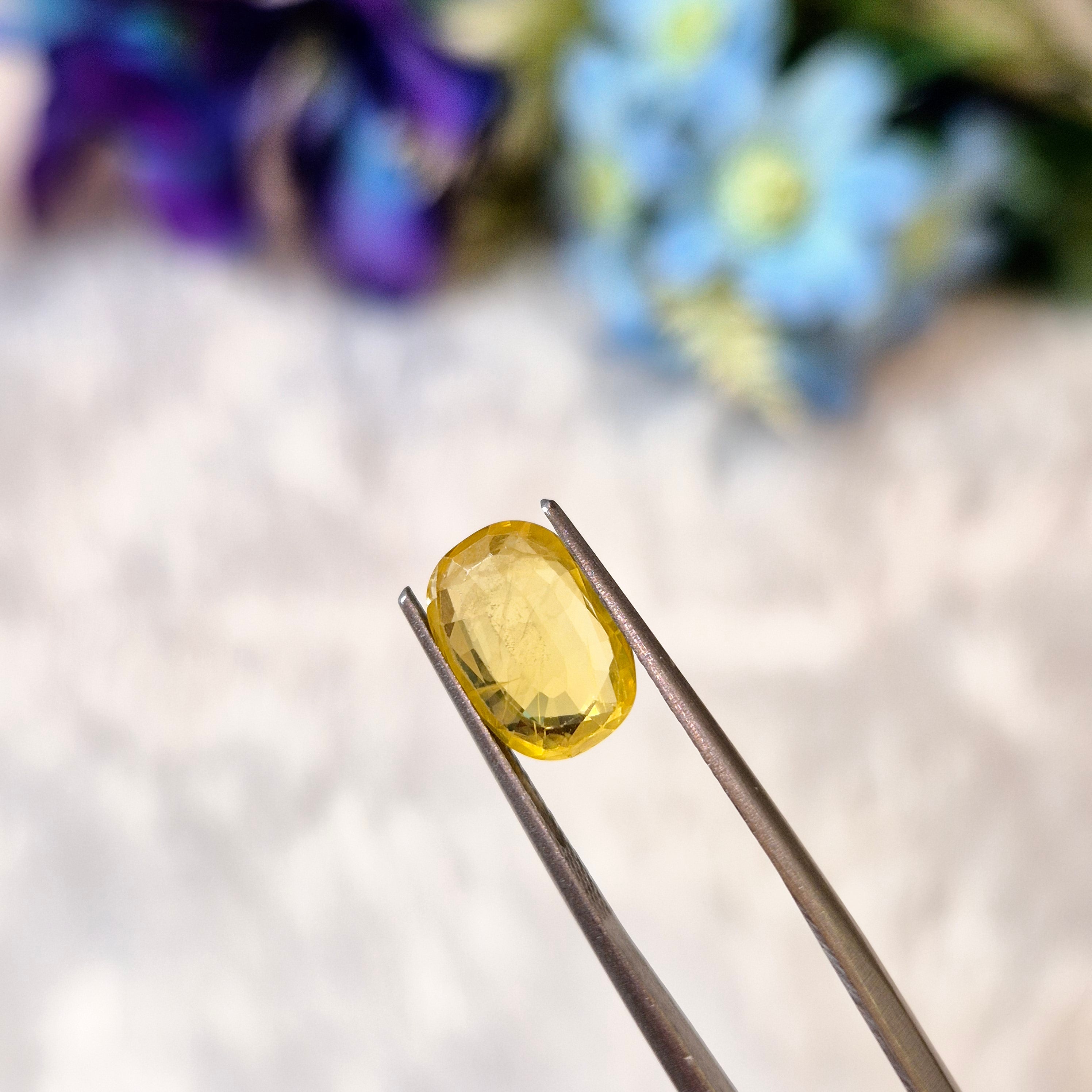 Yellow Sapphire | YS 300 | 3.11 Carat