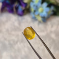 Yellow Sapphire | YS 295 | 4.22 Carat