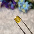 Yellow Sapphire | YS 293 | 3.92 Carat