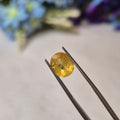 Yellow Sapphire | YS 286 | 3.64 Carat