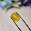 Yellow Sapphire | YS 276 | 6.75 Carat