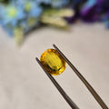 Yellow Sapphire | YS 275 | 3.38 Carat