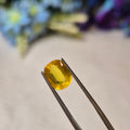 Yellow Sapphire | YS 273 | 3.11 Carat