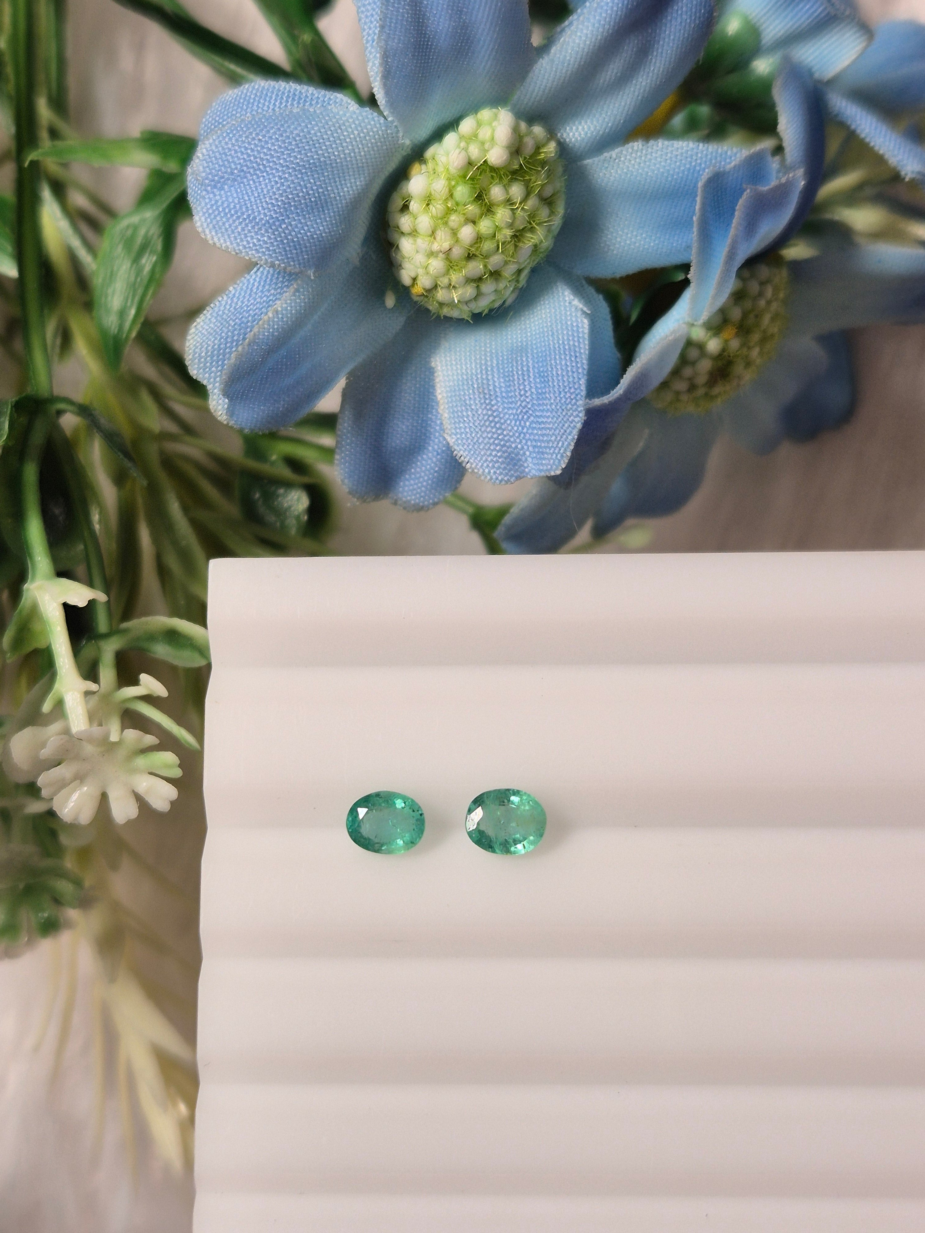 Emerald | EM 259 | 0.75 Carat