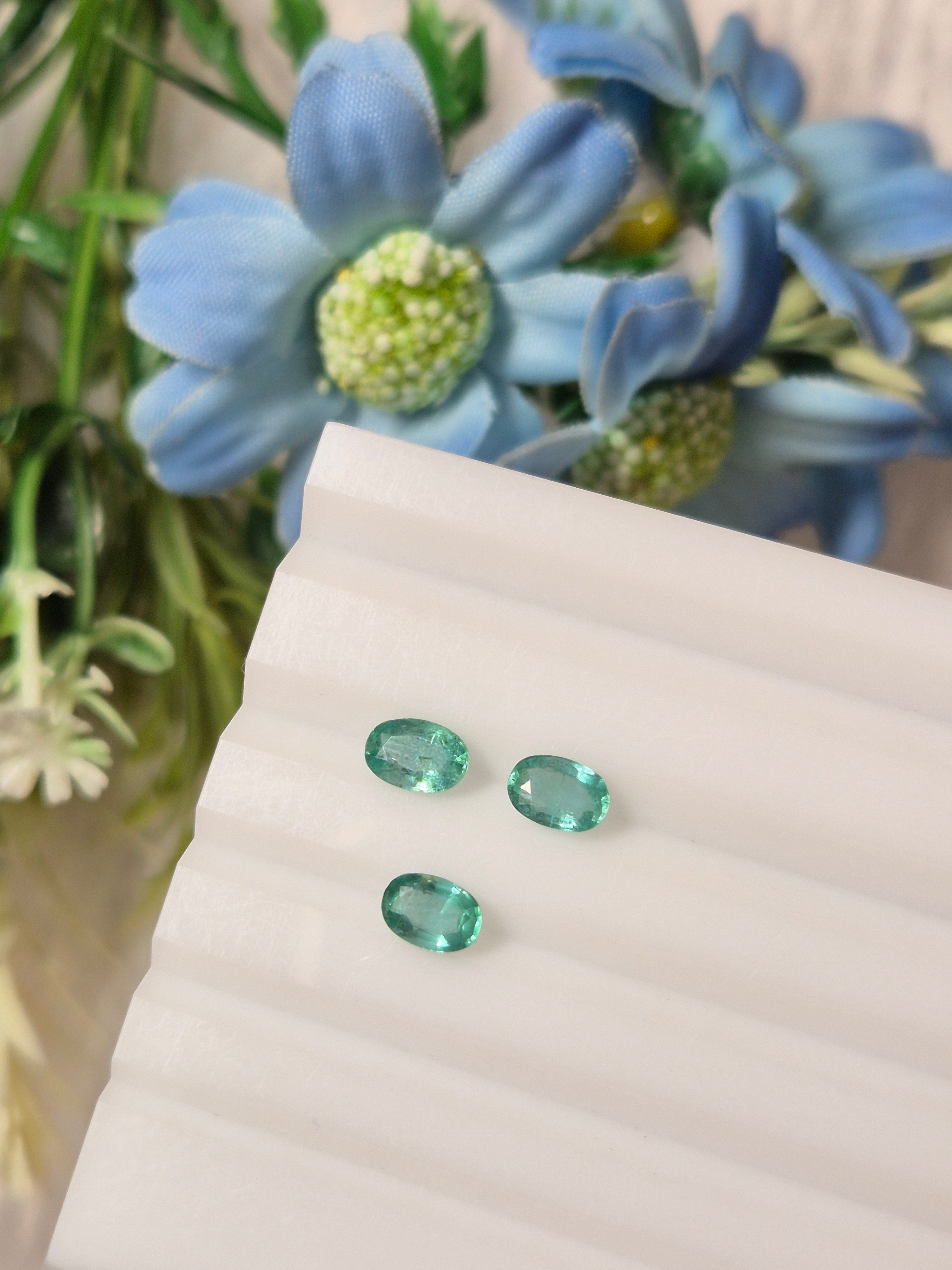 Emerald | EM 233 | 1.26 Carat