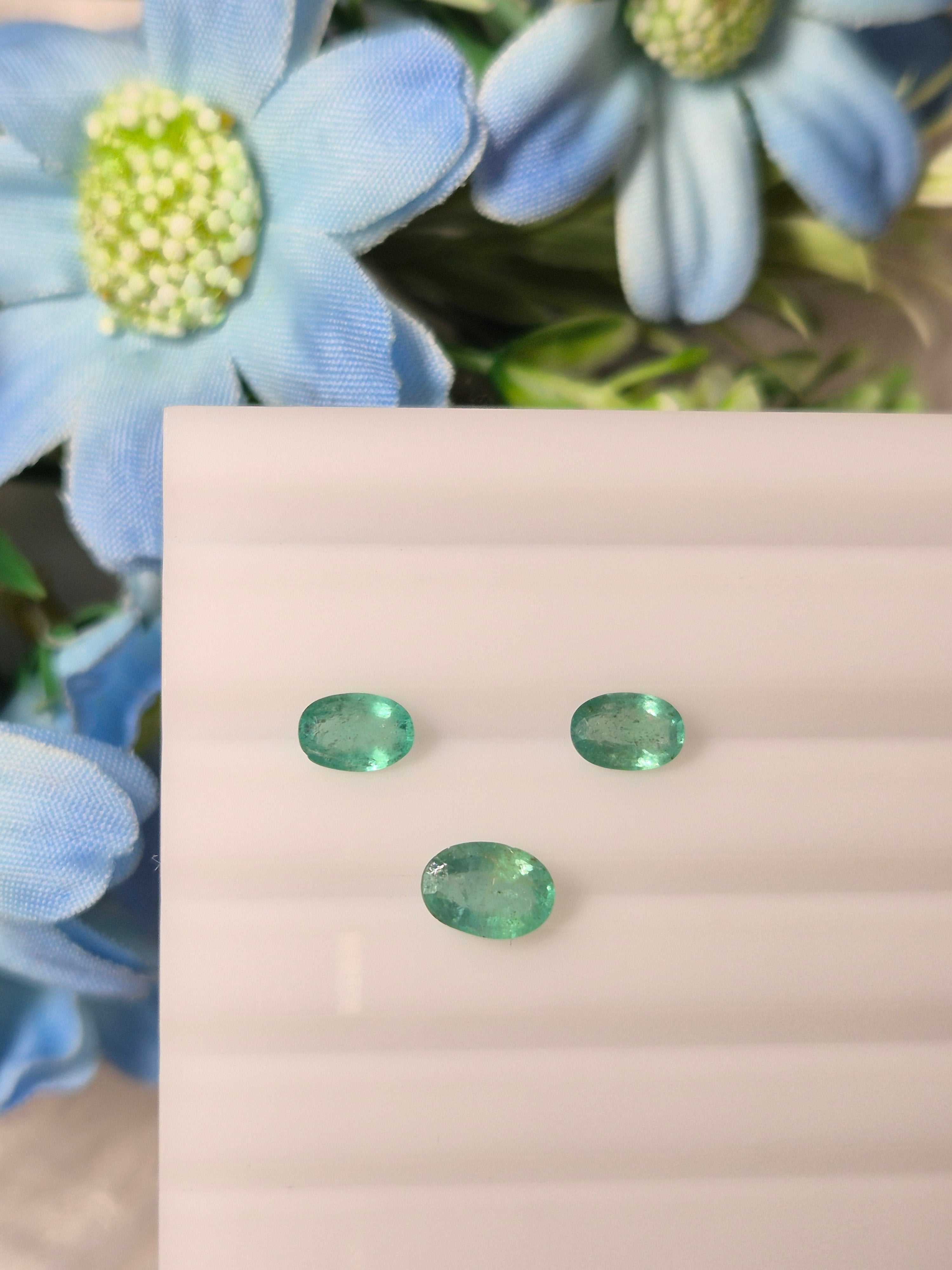 Emerald | EM 241 | 1.46 Carat