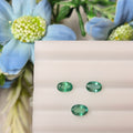 Emerald | EM 238 | 1.17 Carat