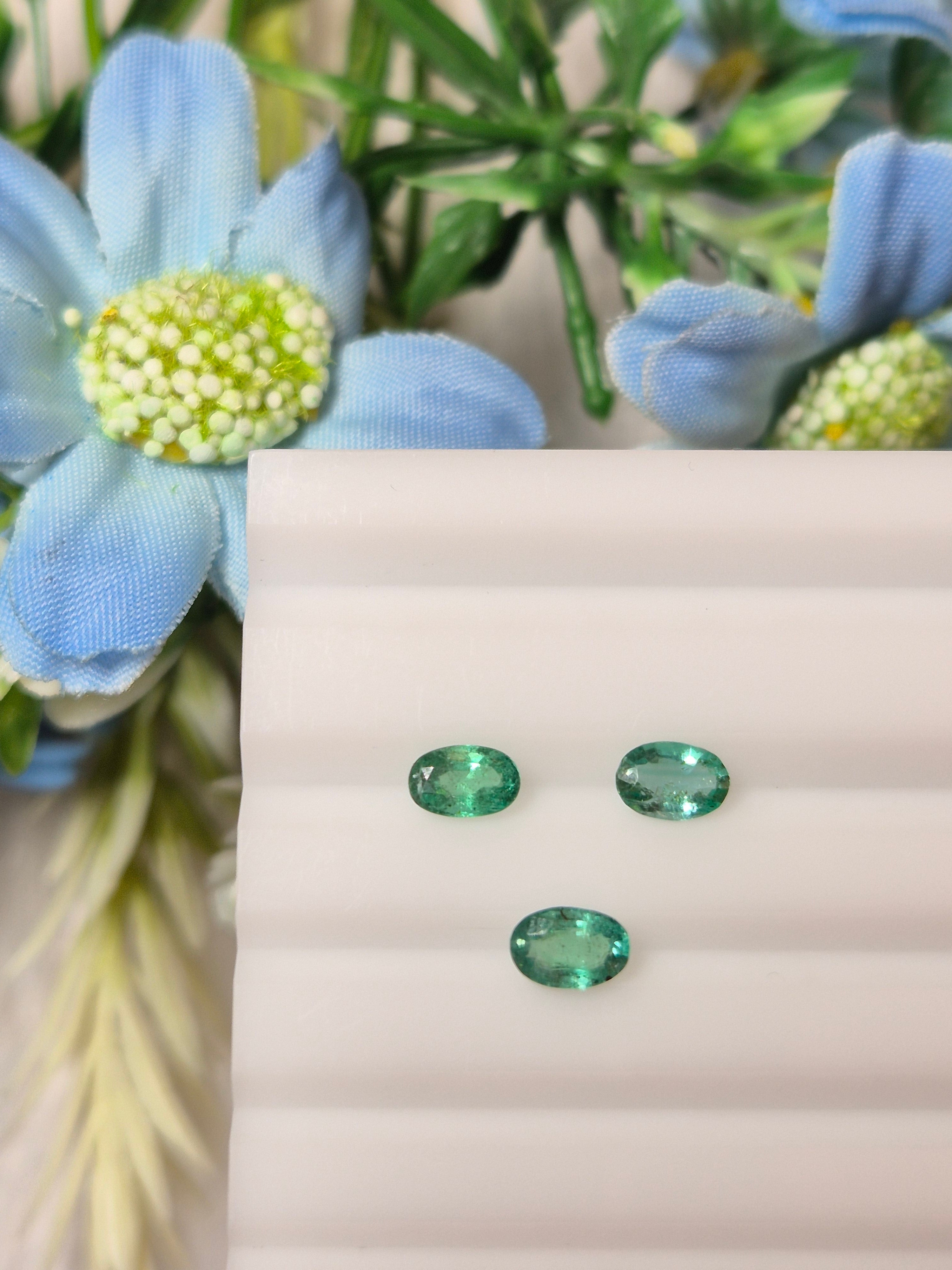 Emerald | EM 238 | 1.17 Carat