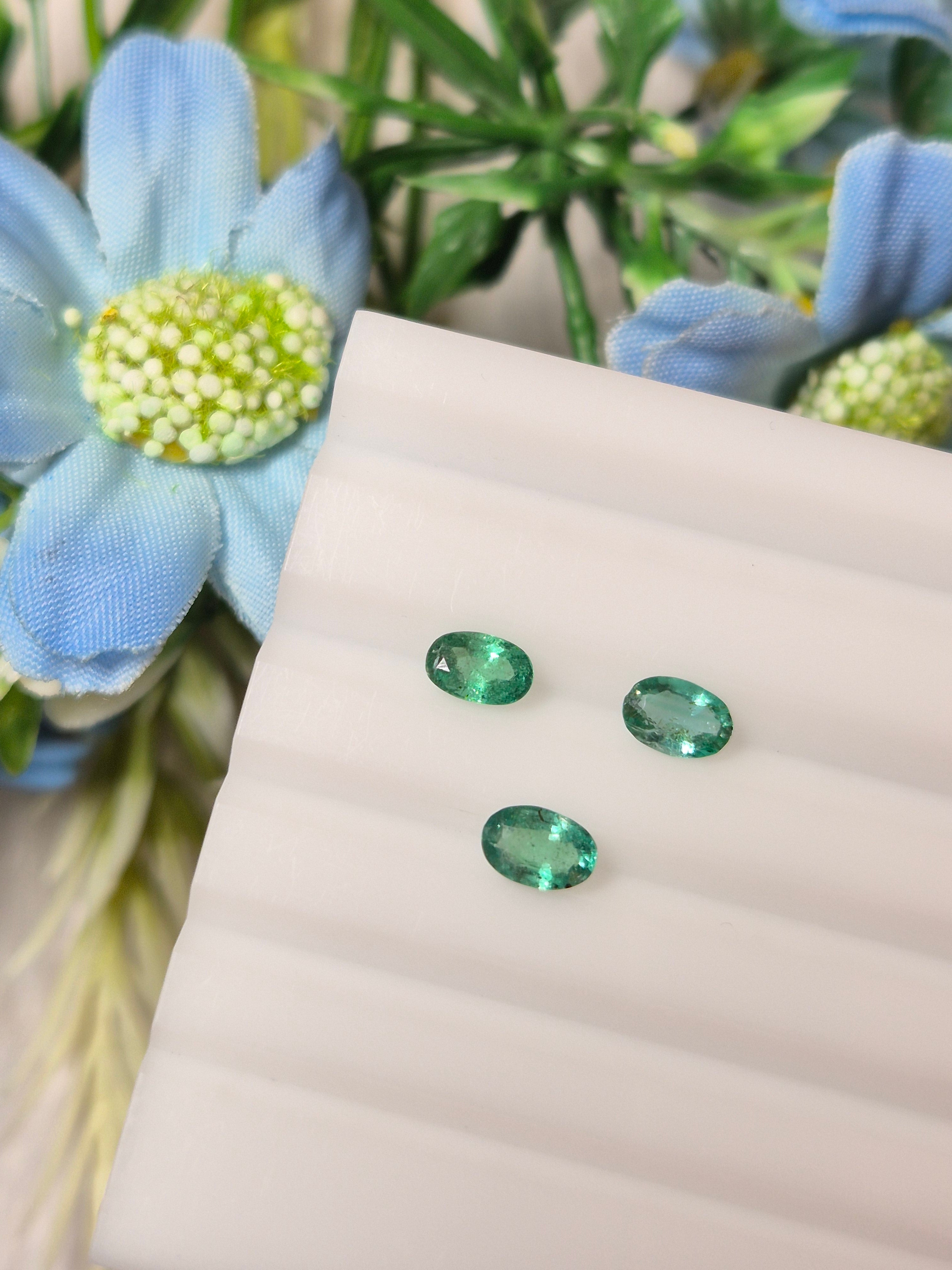 Emerald | EM 238 | 1.17 Carat