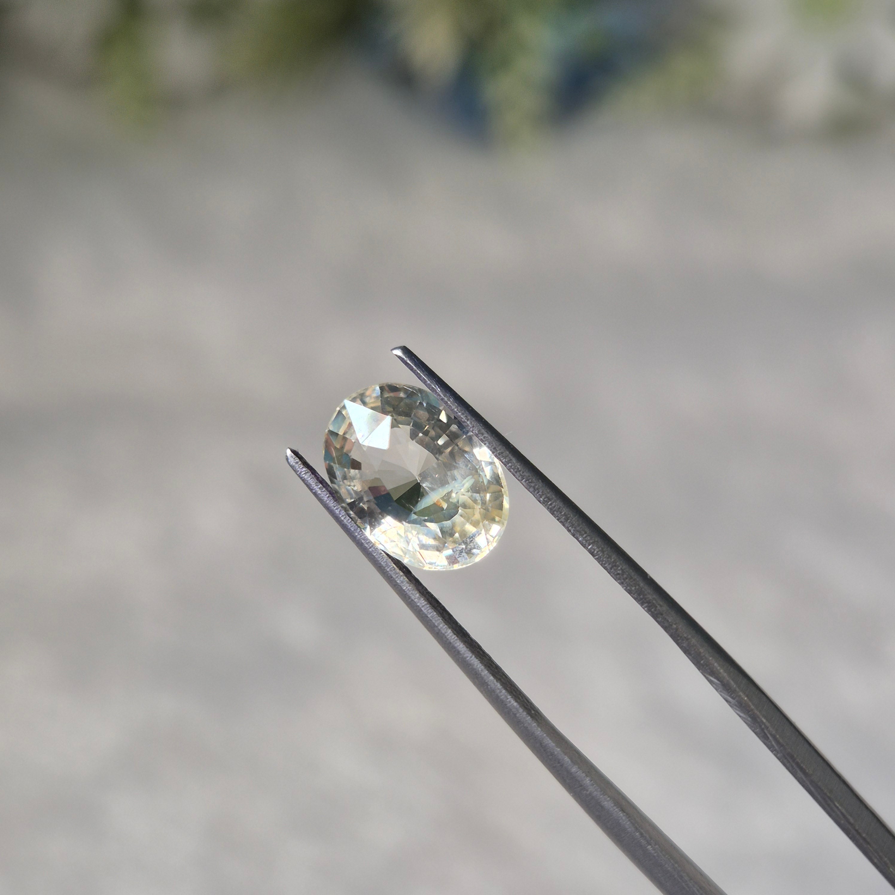 Yellow Sapphire | YS 306 | 3.09 Carat