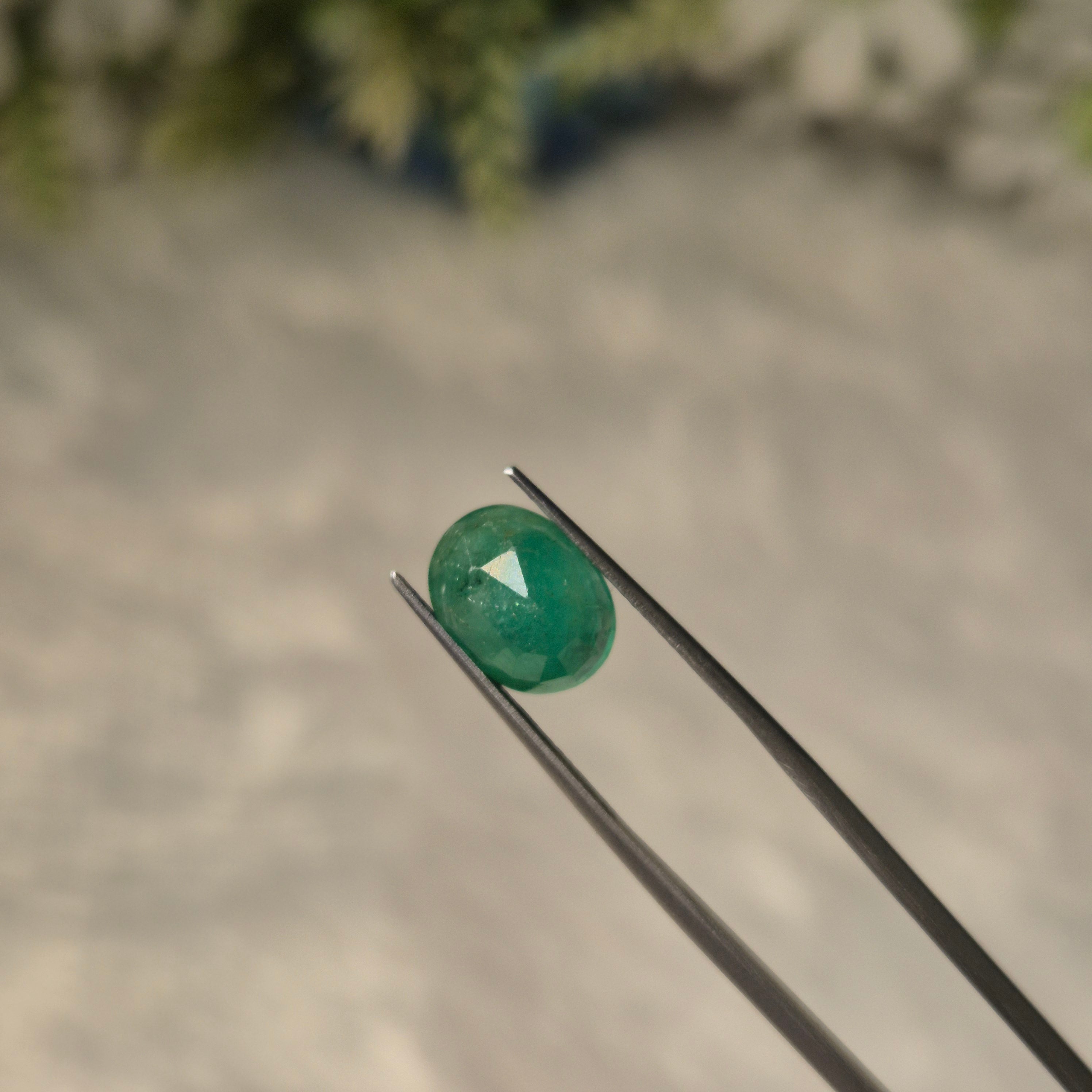 Natural Emerald (Panna) | EM 668 | 4.09 Carats | Certified