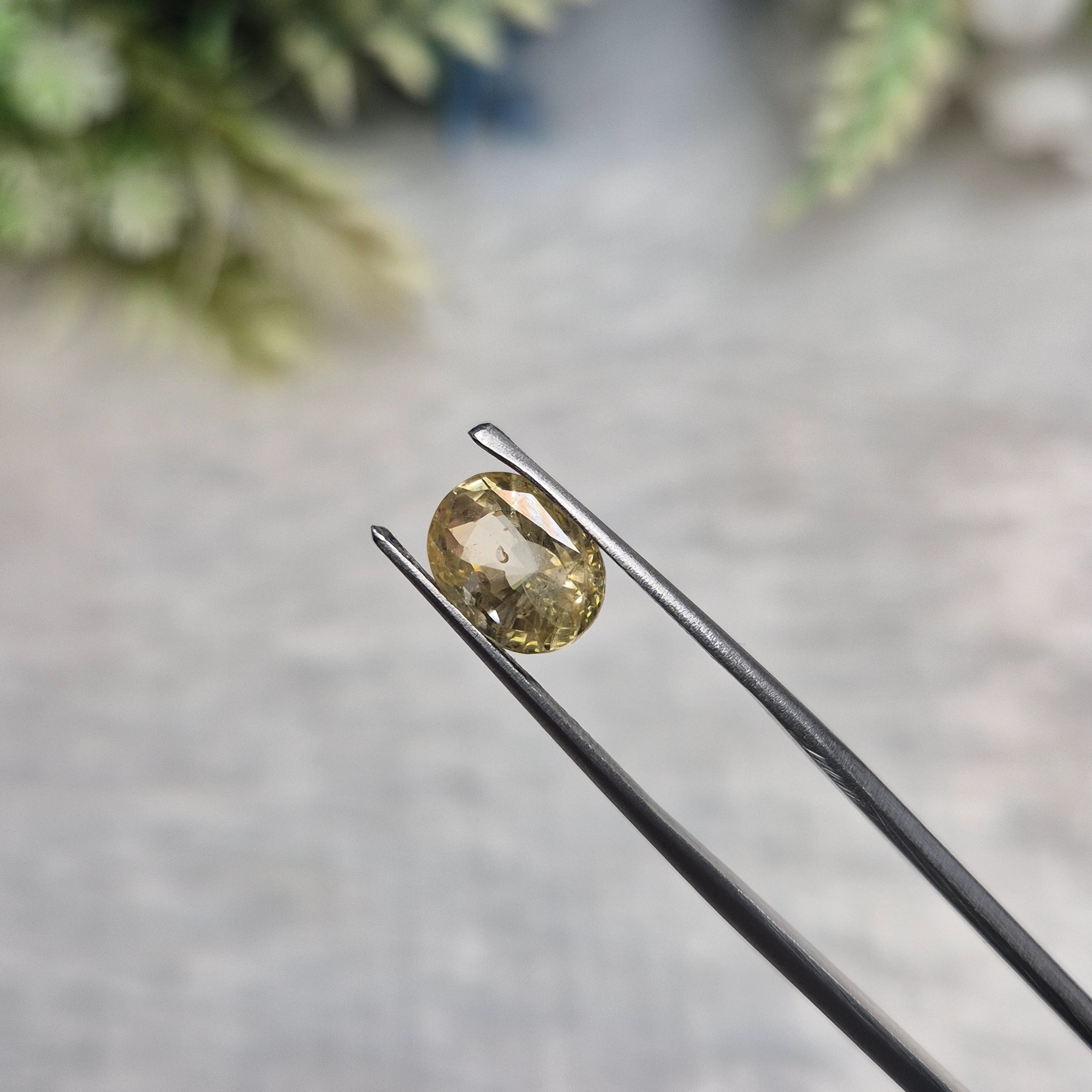 Yellow Sapphire | YS 309 | 3.07 Carat