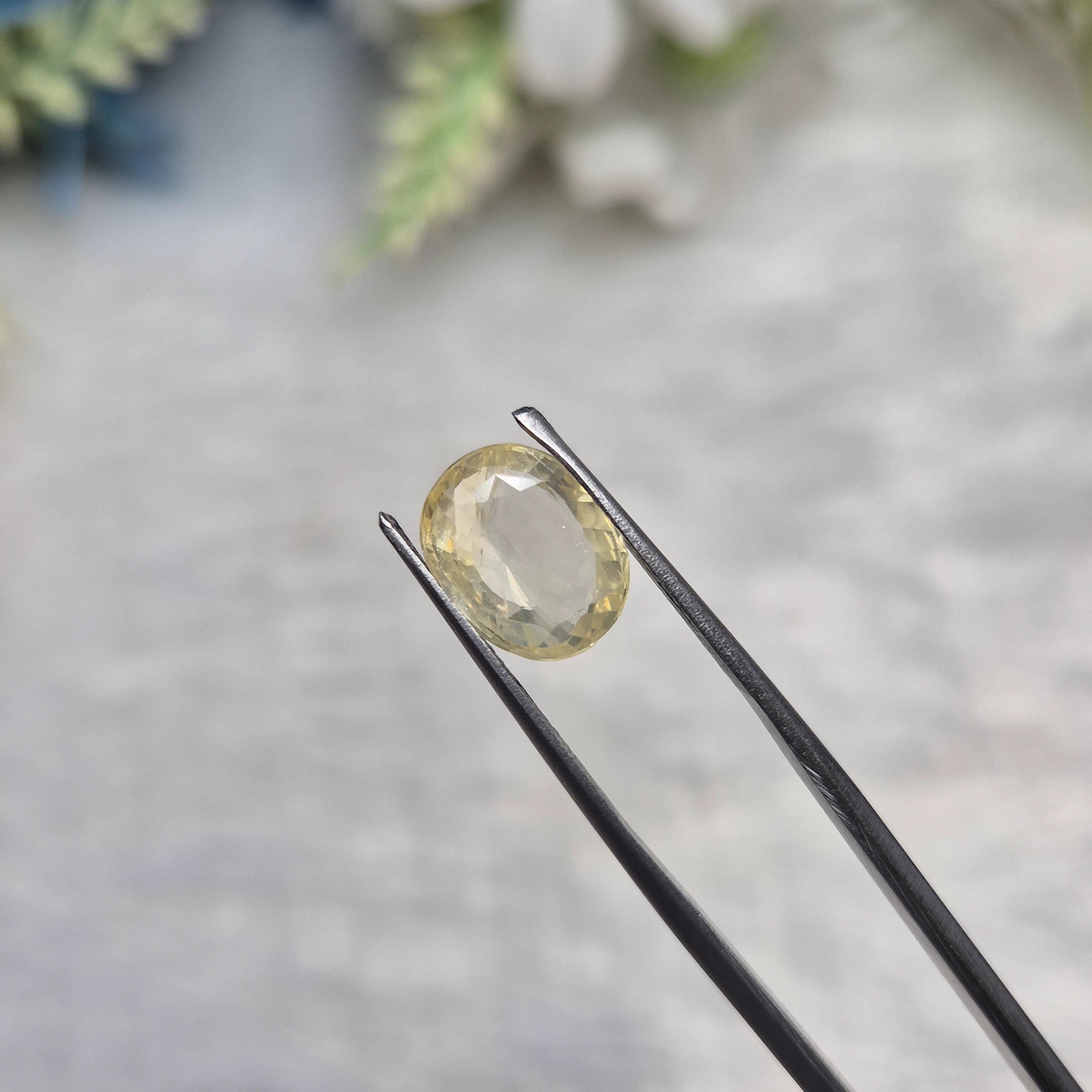 Yellow Sapphire | YS 308 | 3.73 Carat