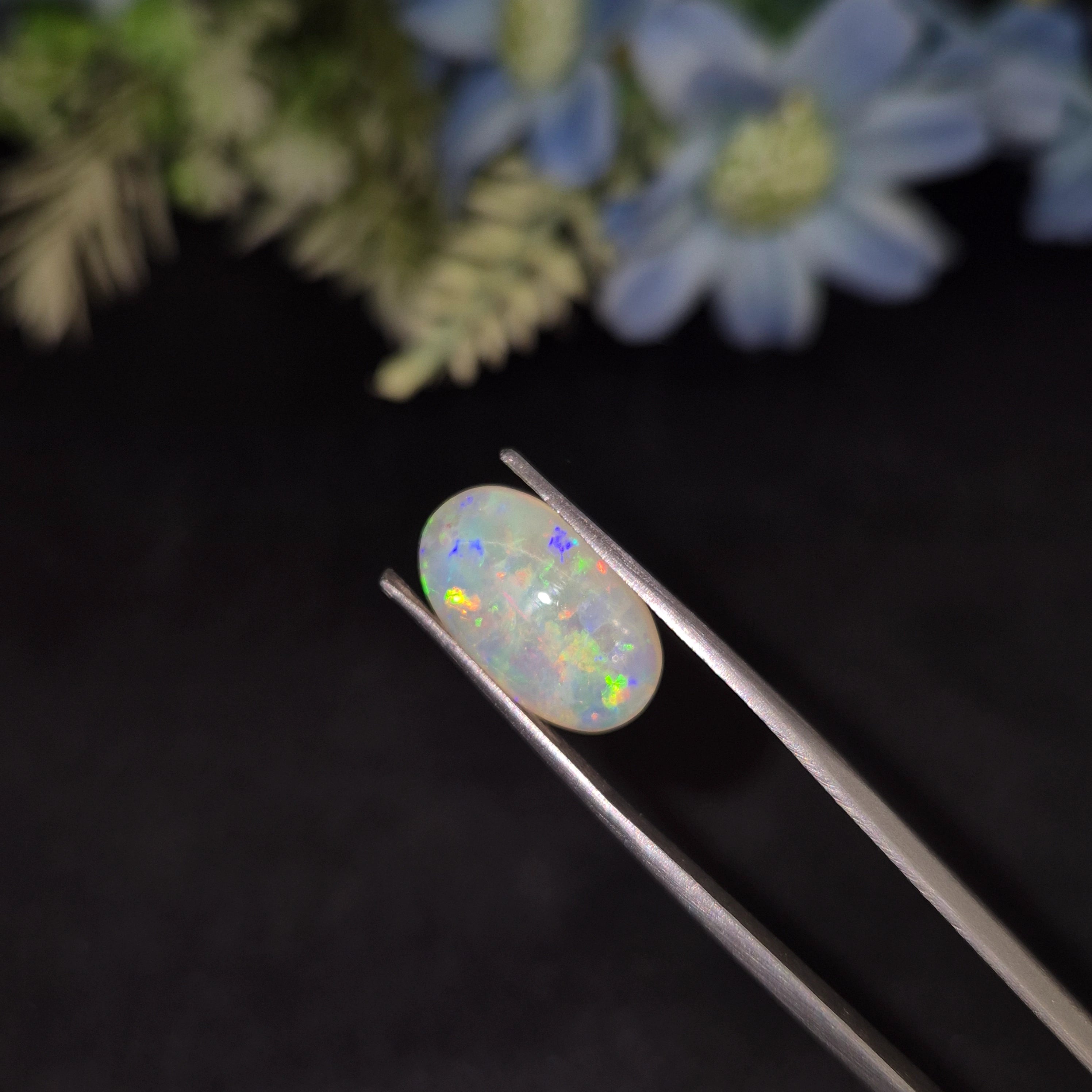 Opal | OPAL 237 | 3.55 Carat