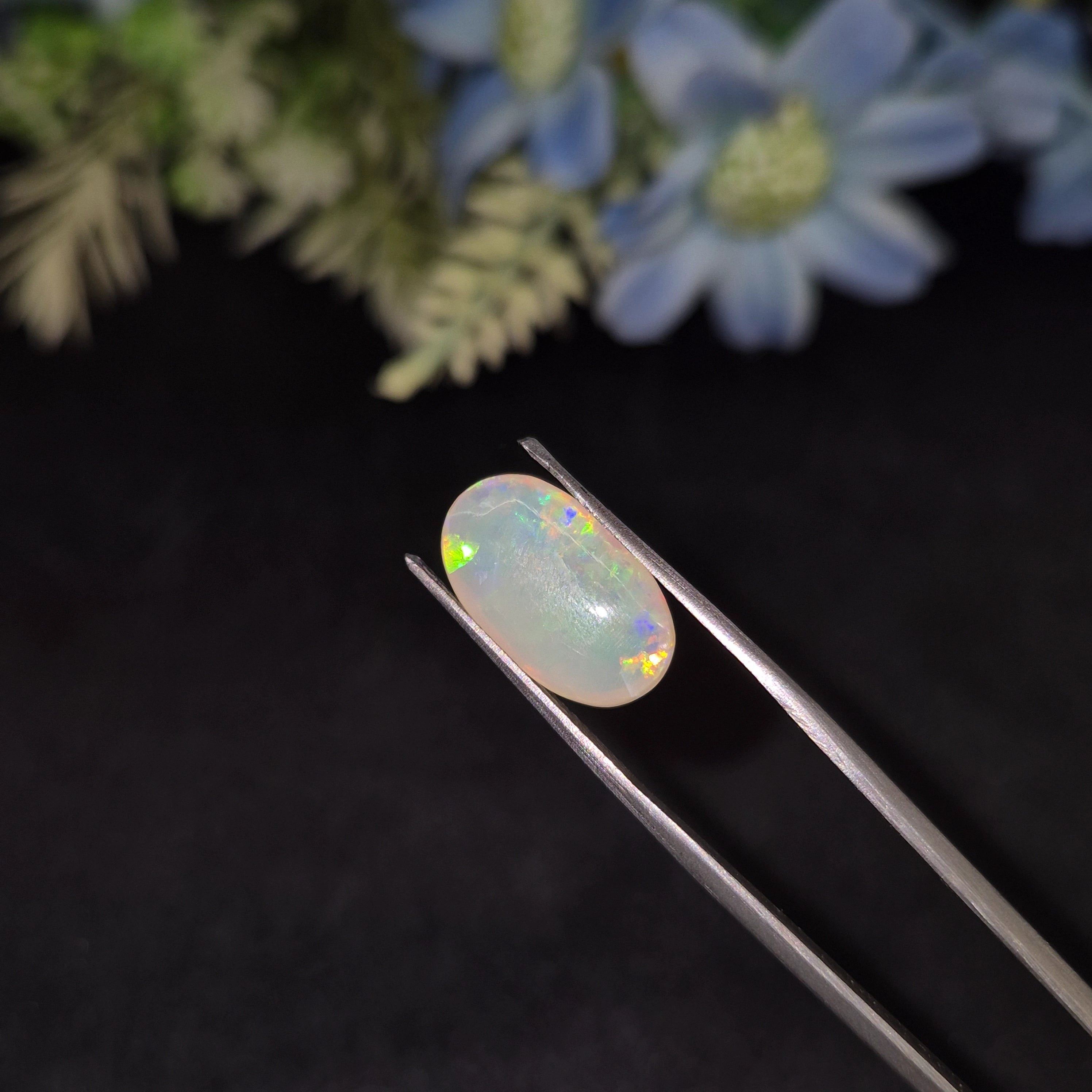 Opal | OPAL 237 | 3.55 Carat