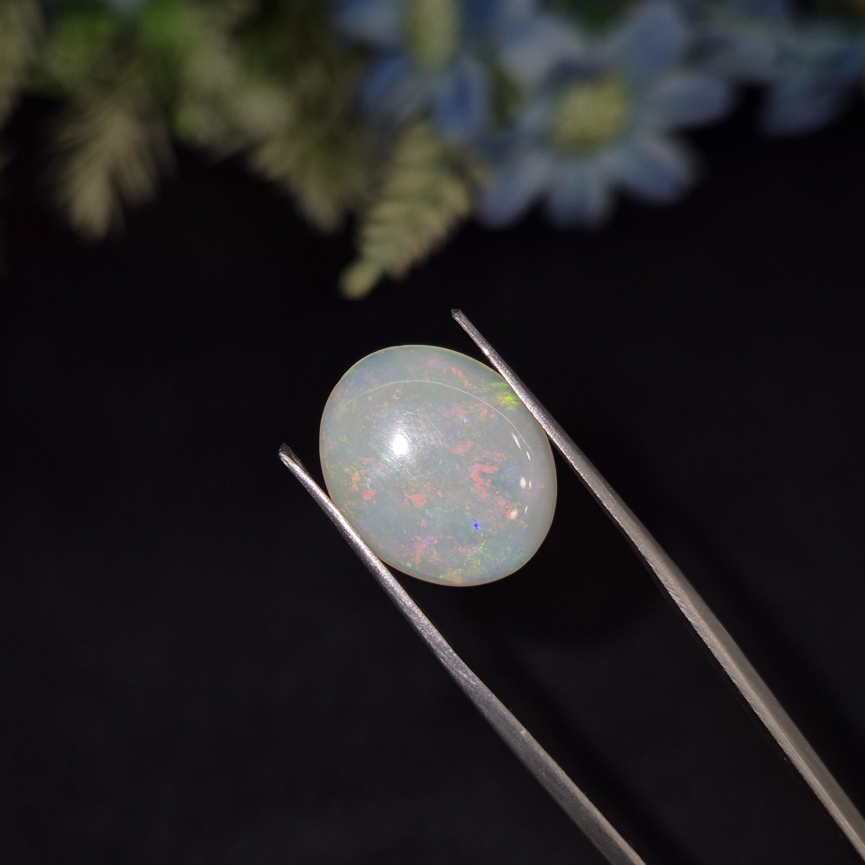 Opal | OPAL 223 | 7.56 Carat