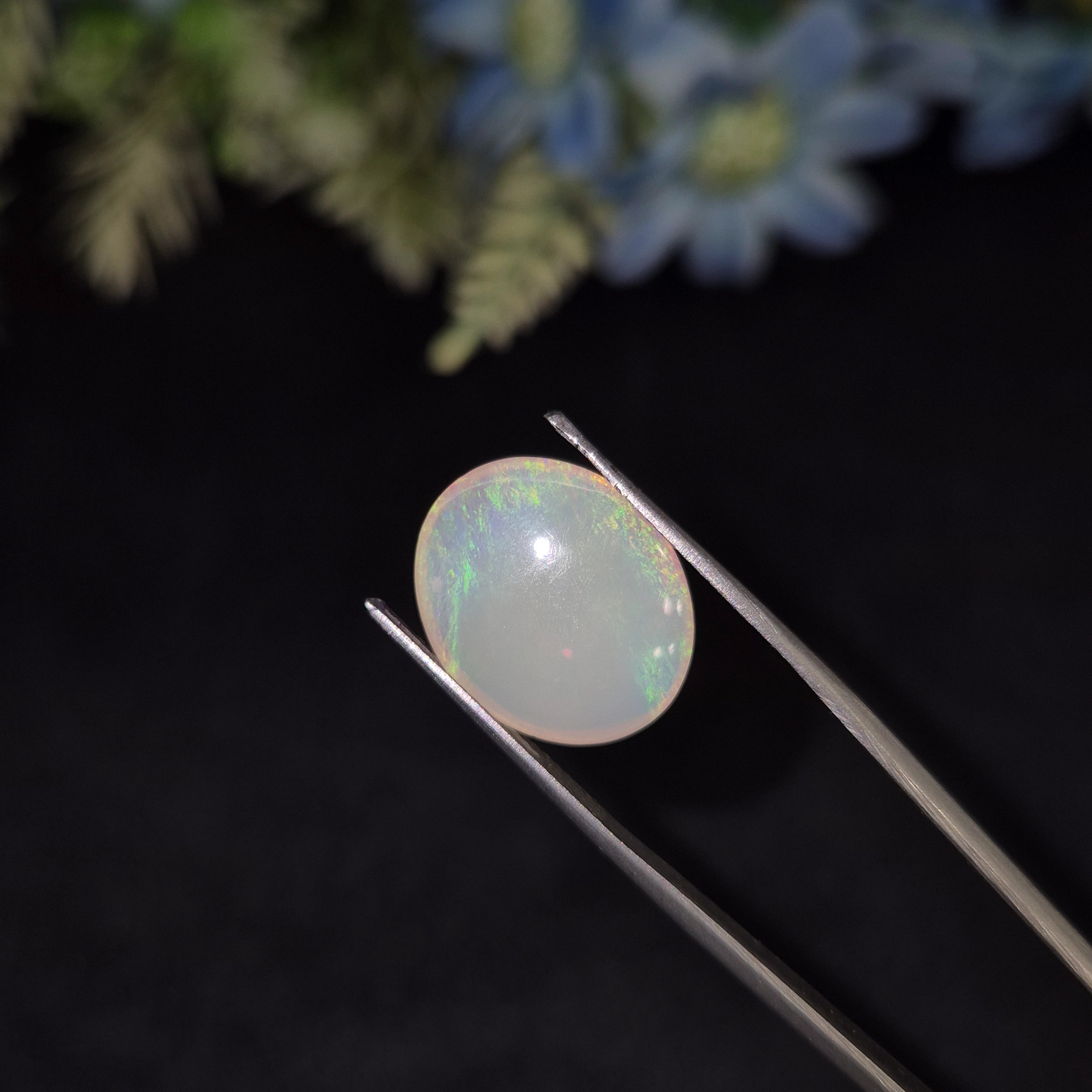 Opal | OPAL 223 | 7.56 Carat