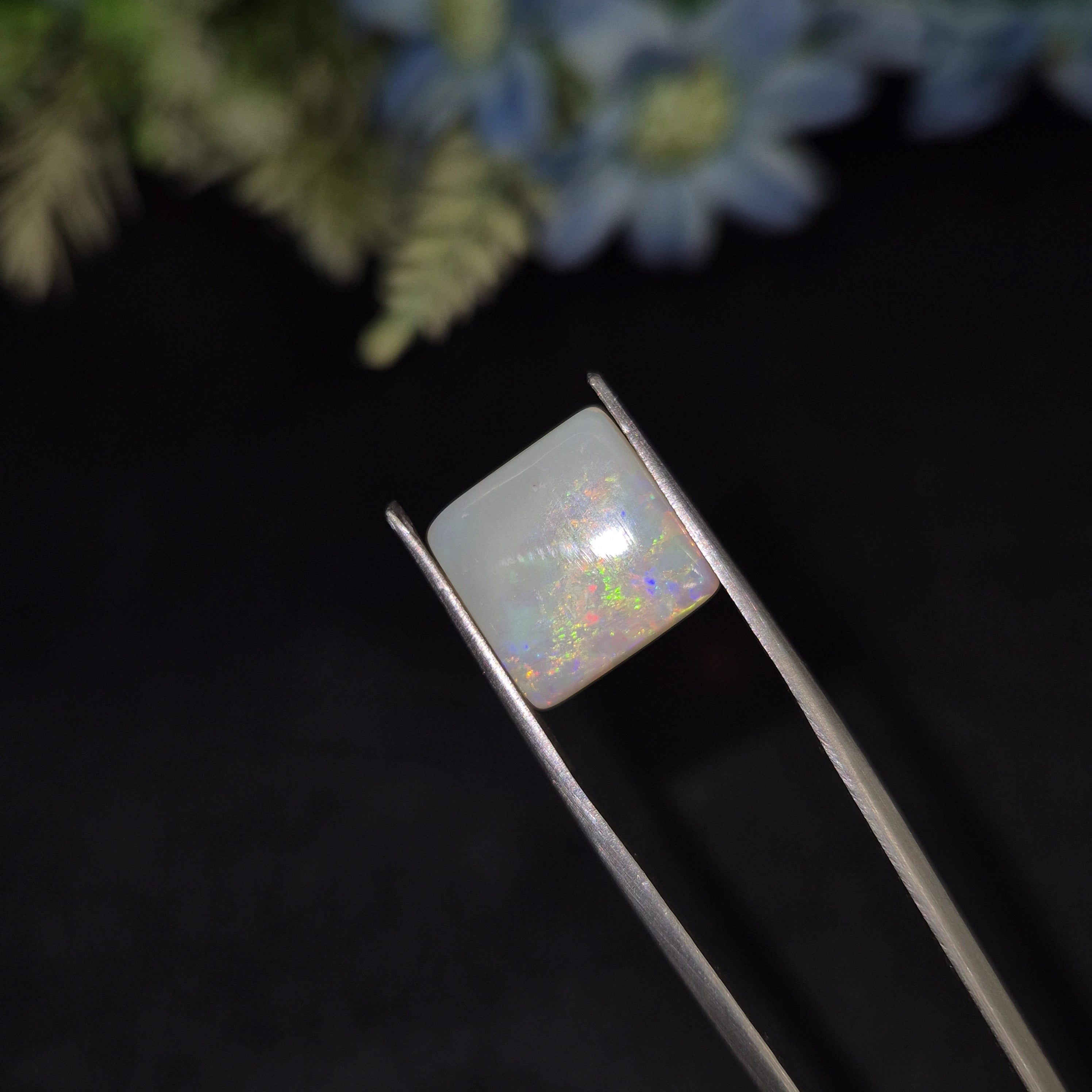 Opal | OPAL 231 | 3.8 Carat