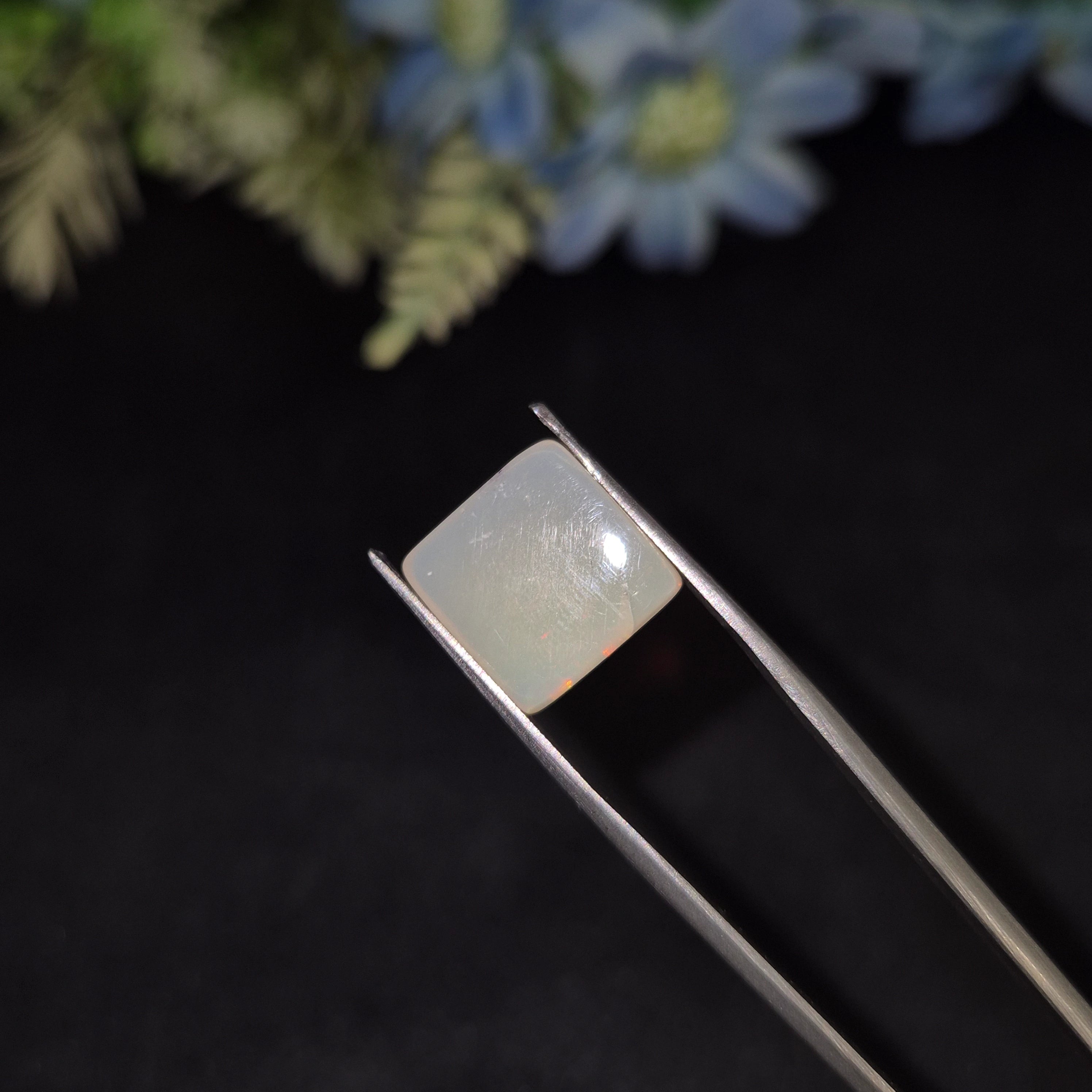 Opal | OPAL 231 | 3.8 Carat