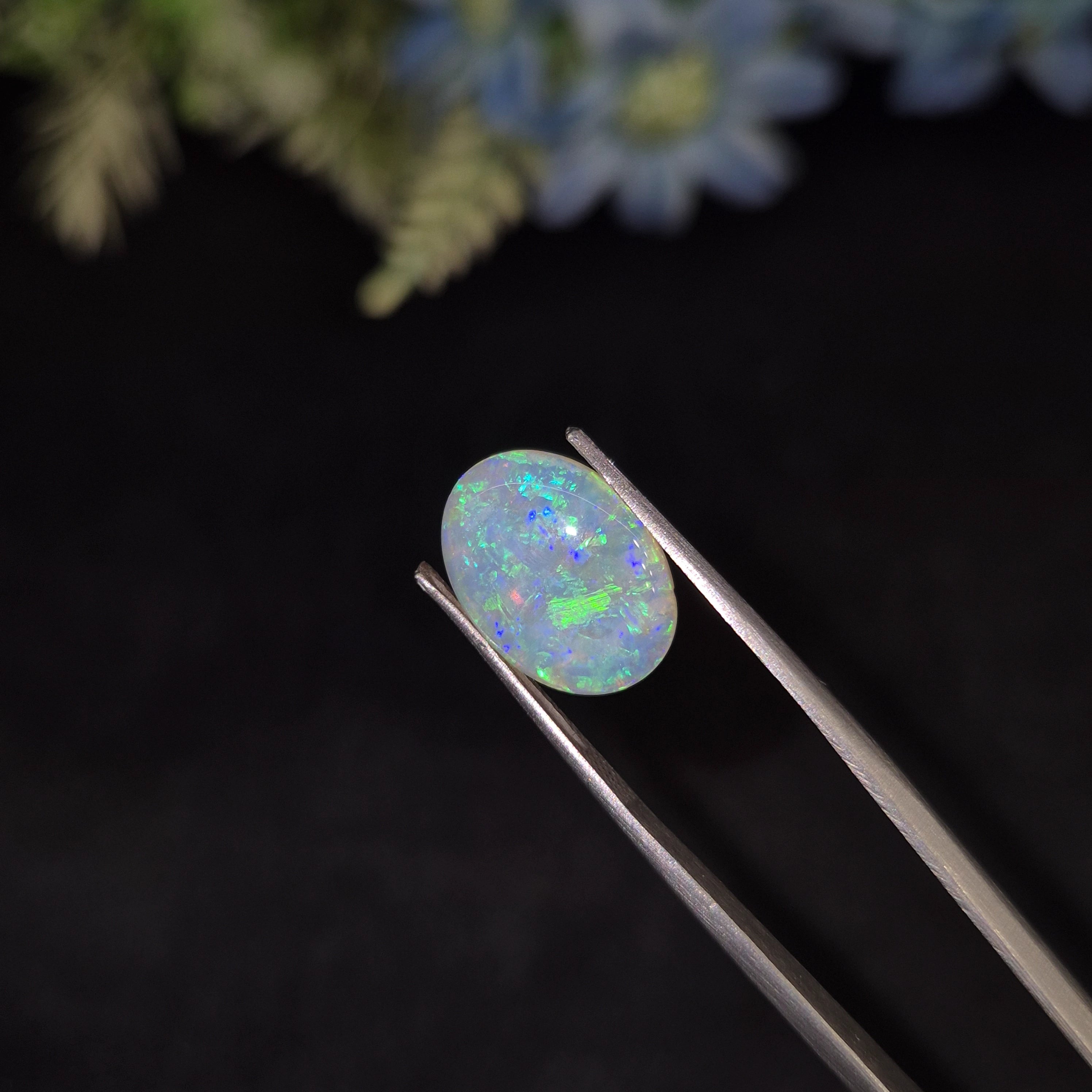 Opal | OPAL 235 | 3.39 Carat