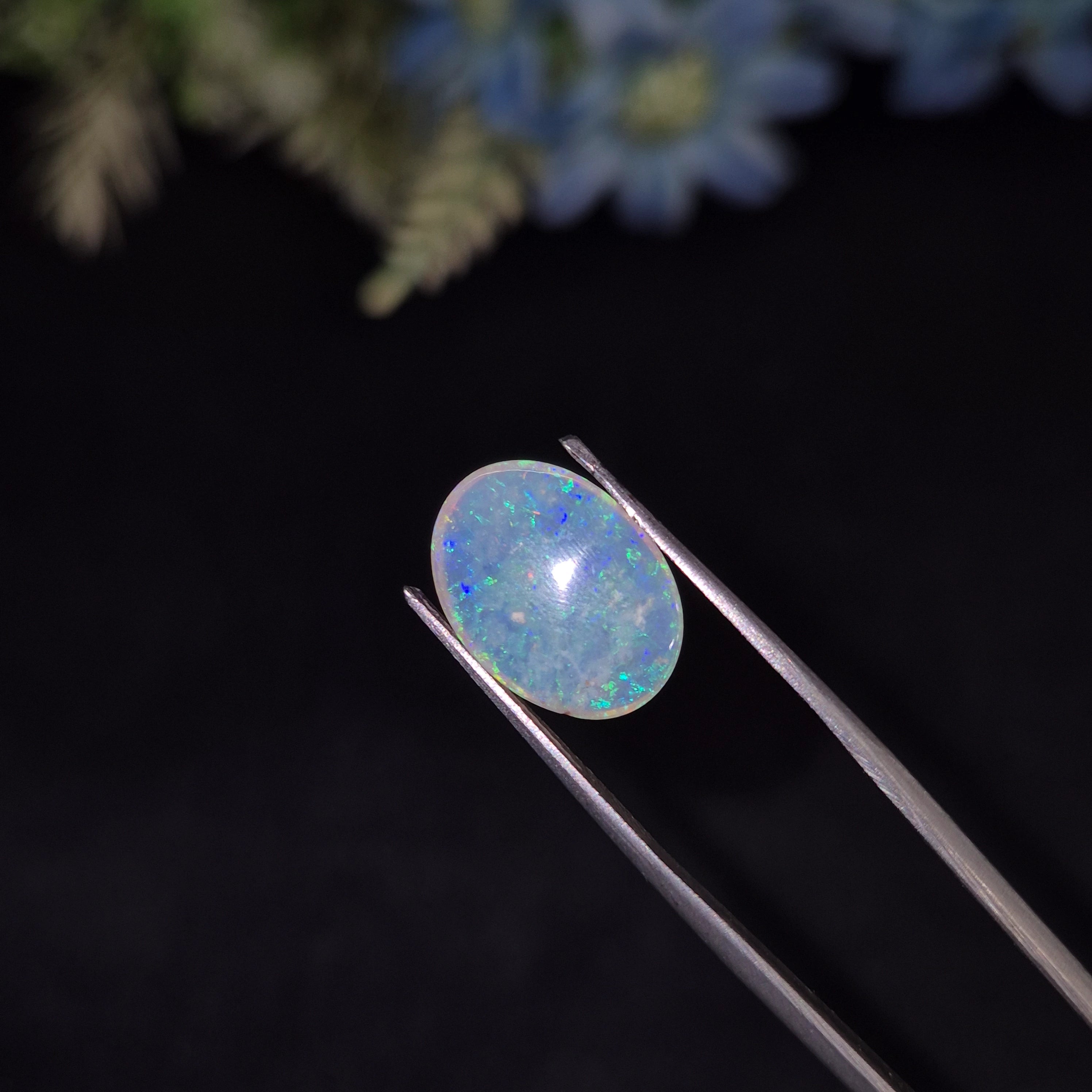 Opal | OPAL 235 | 3.39 Carat