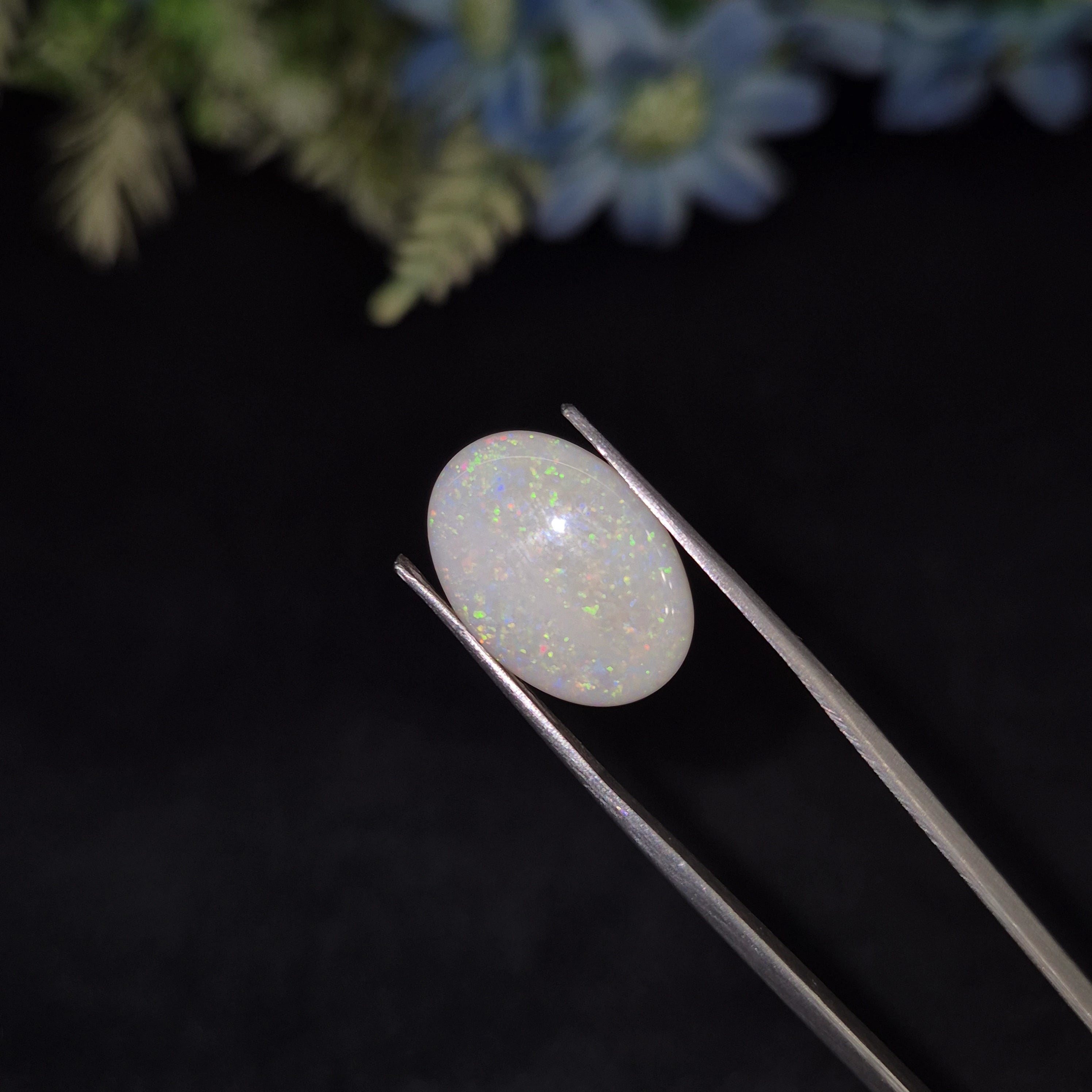 Opal | OPAL 234 | 5.08 Carat