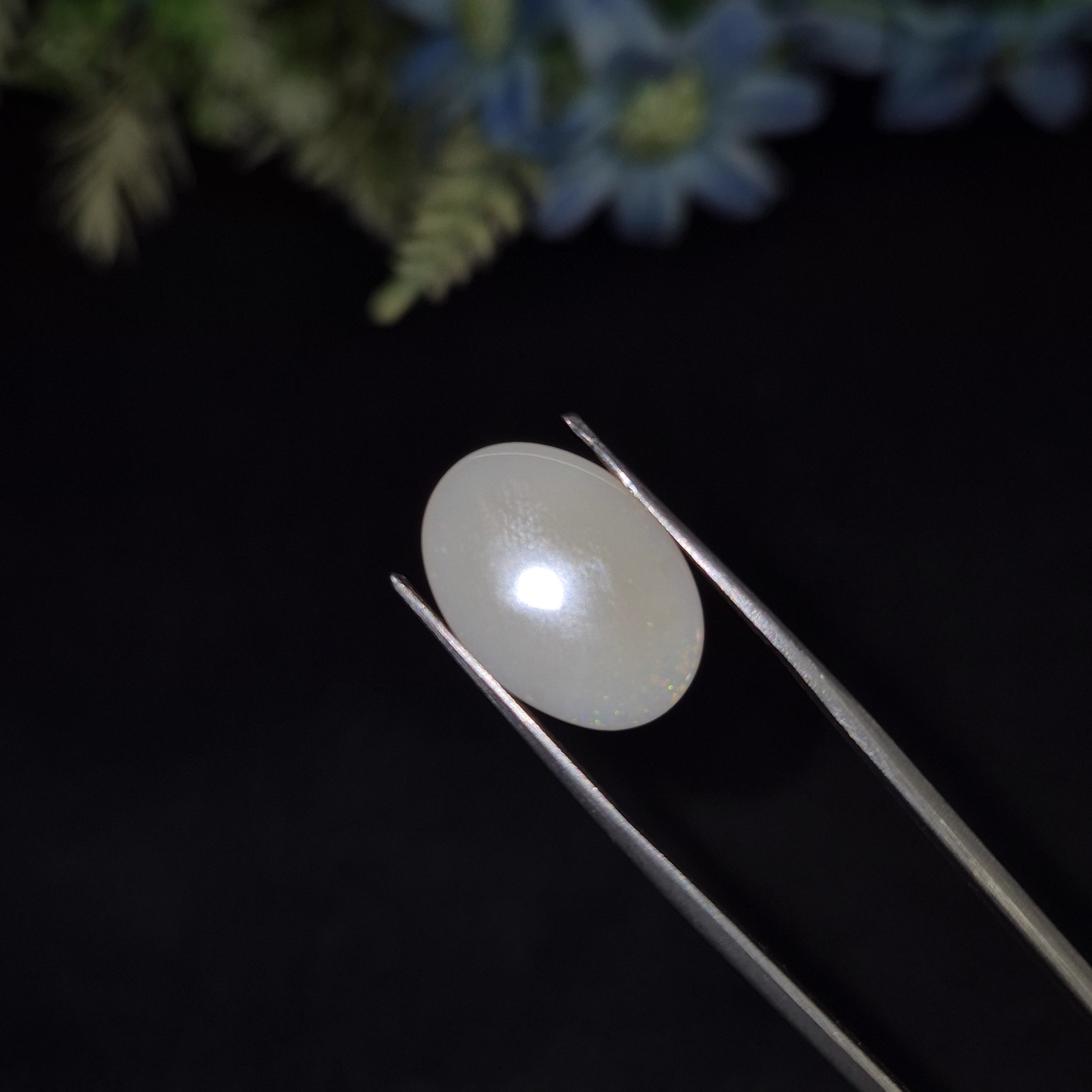 Opal | OPAL 234 | 5.08 Carat