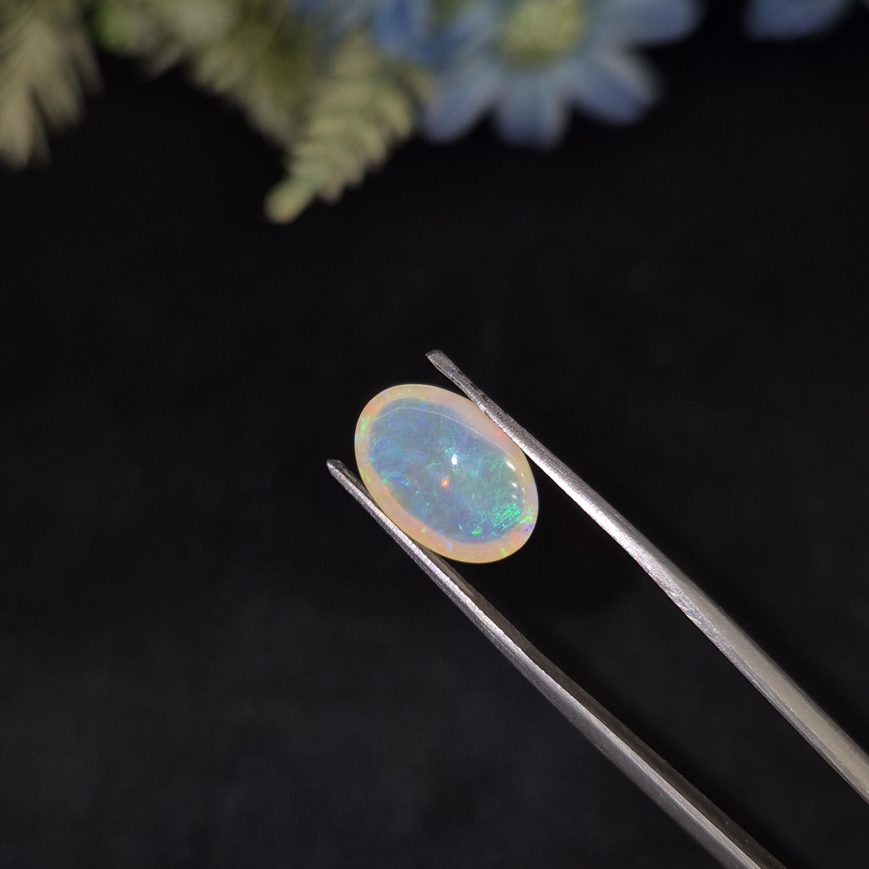 Opal | OPAL 226 | 4.29 Carat