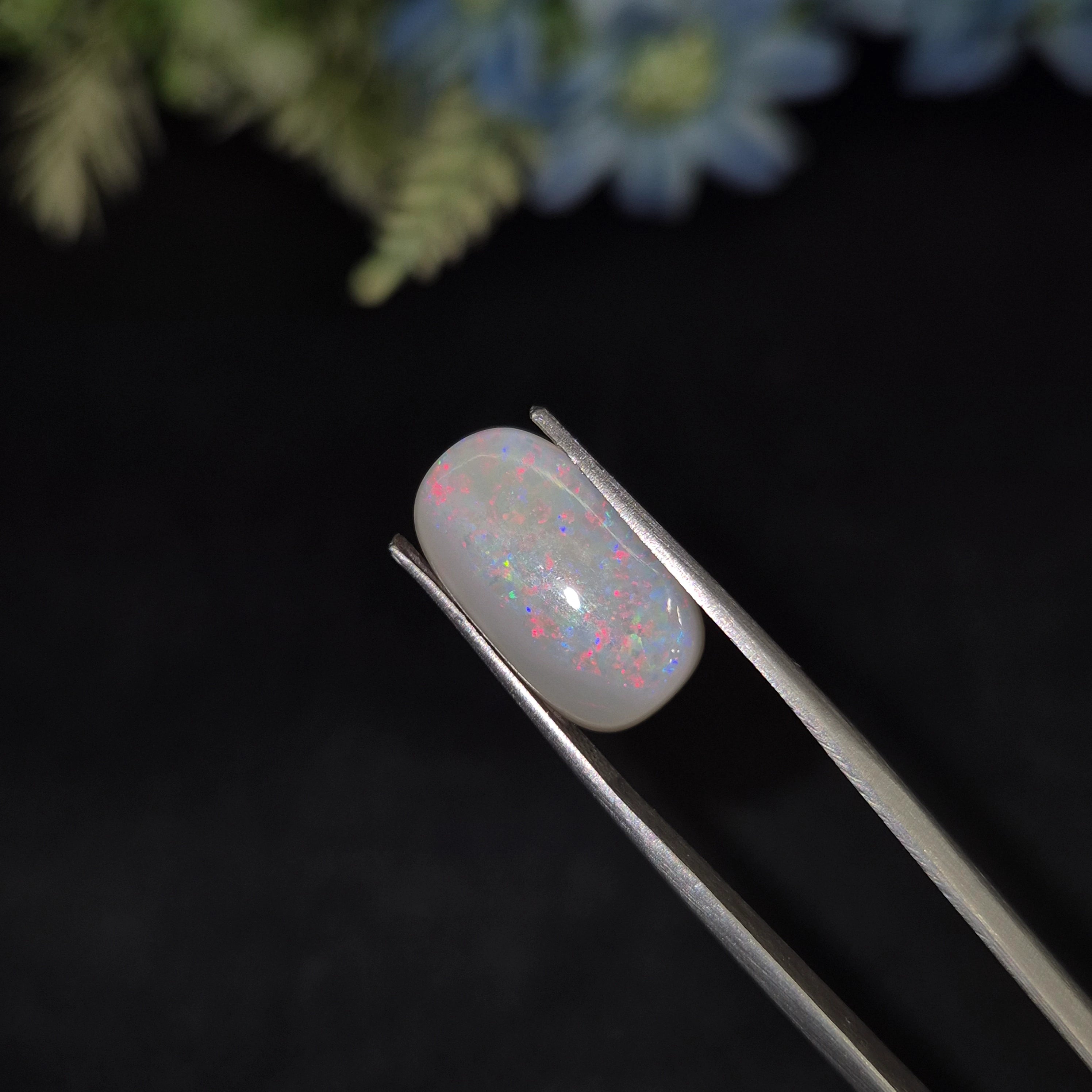 Opal | OPAL 232 | 4.31 Carat
