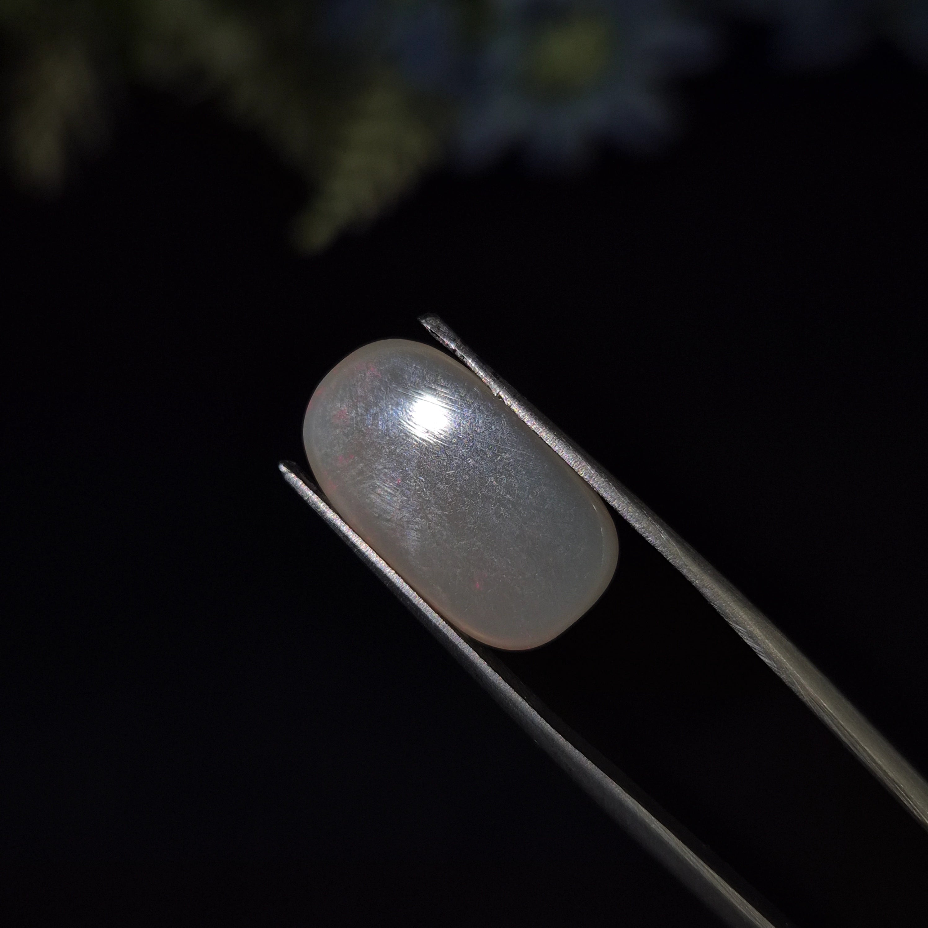 Opal | OPAL 232 | 4.31 Carat