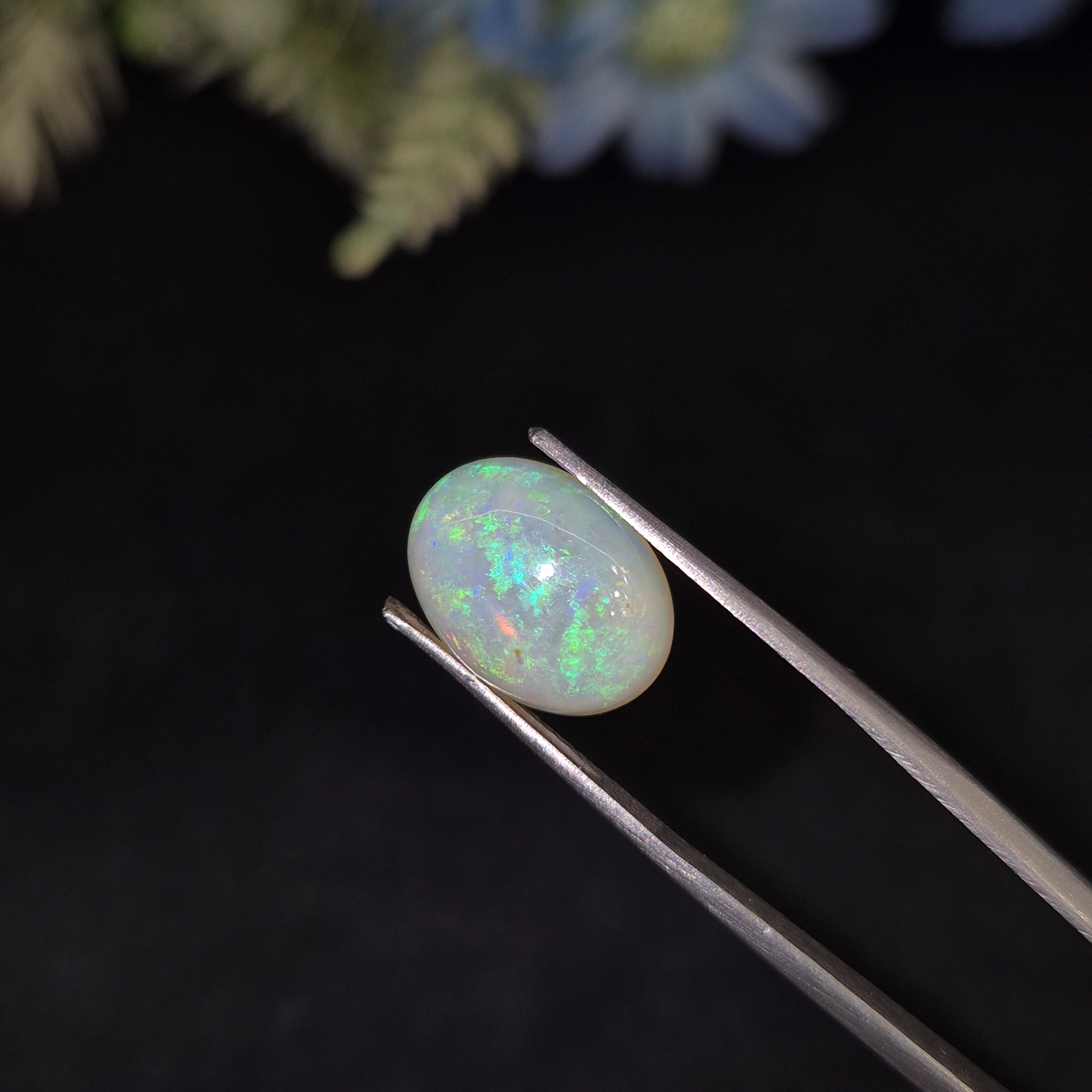 Opal | OPAL 224 | 4.28 Carat