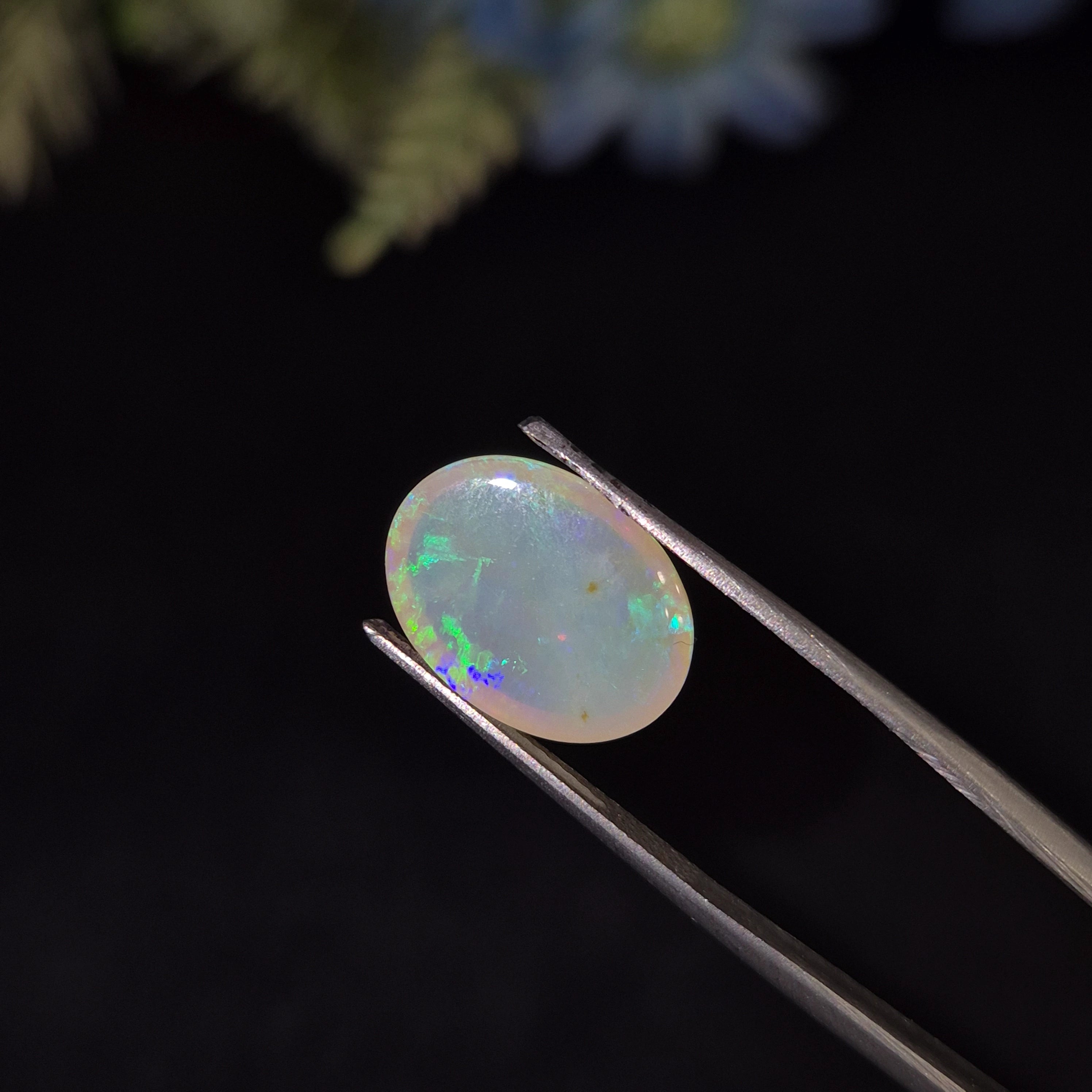 Opal | OPAL 224 | 4.28 Carat