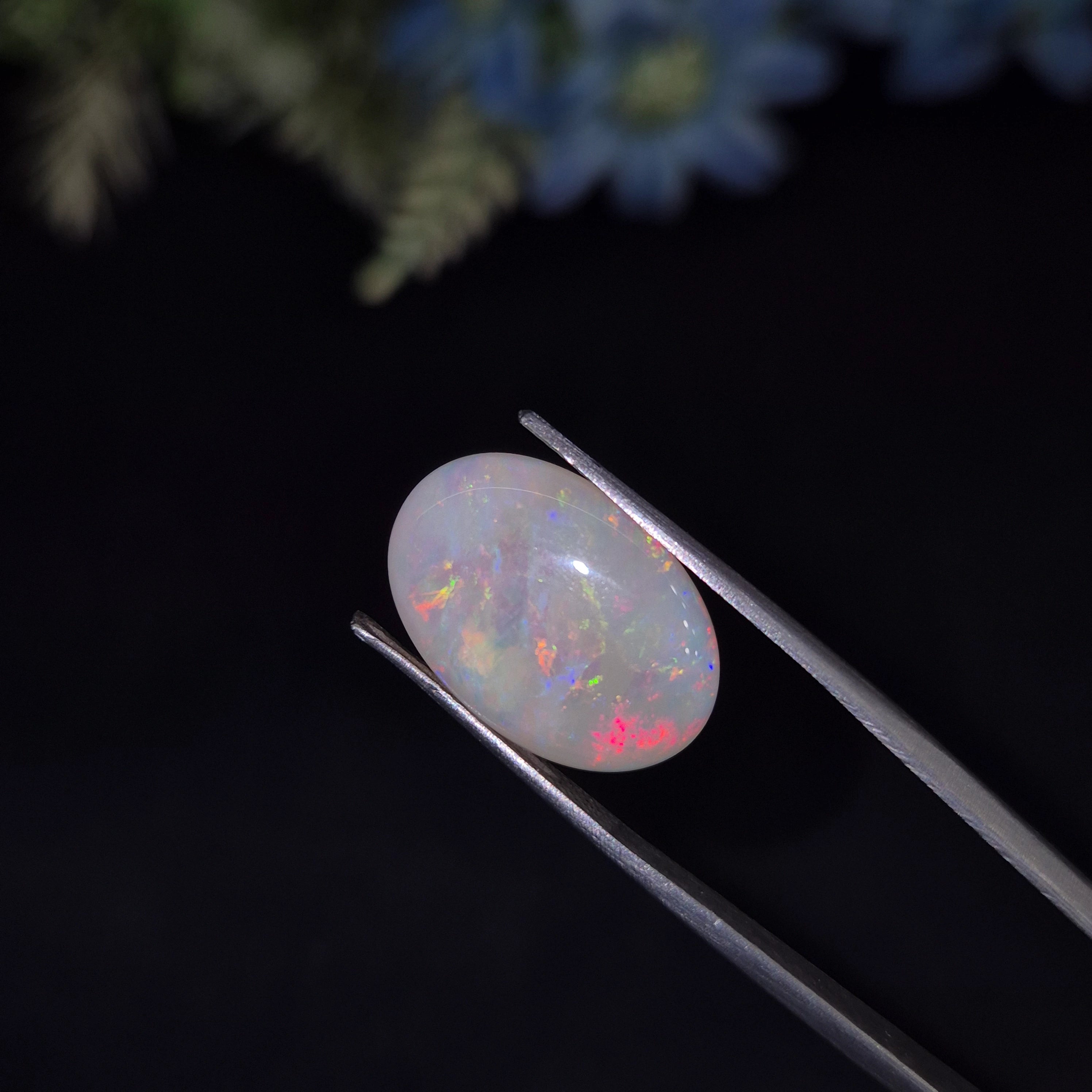 Opal | OPAL 236 | 6.6 Carat