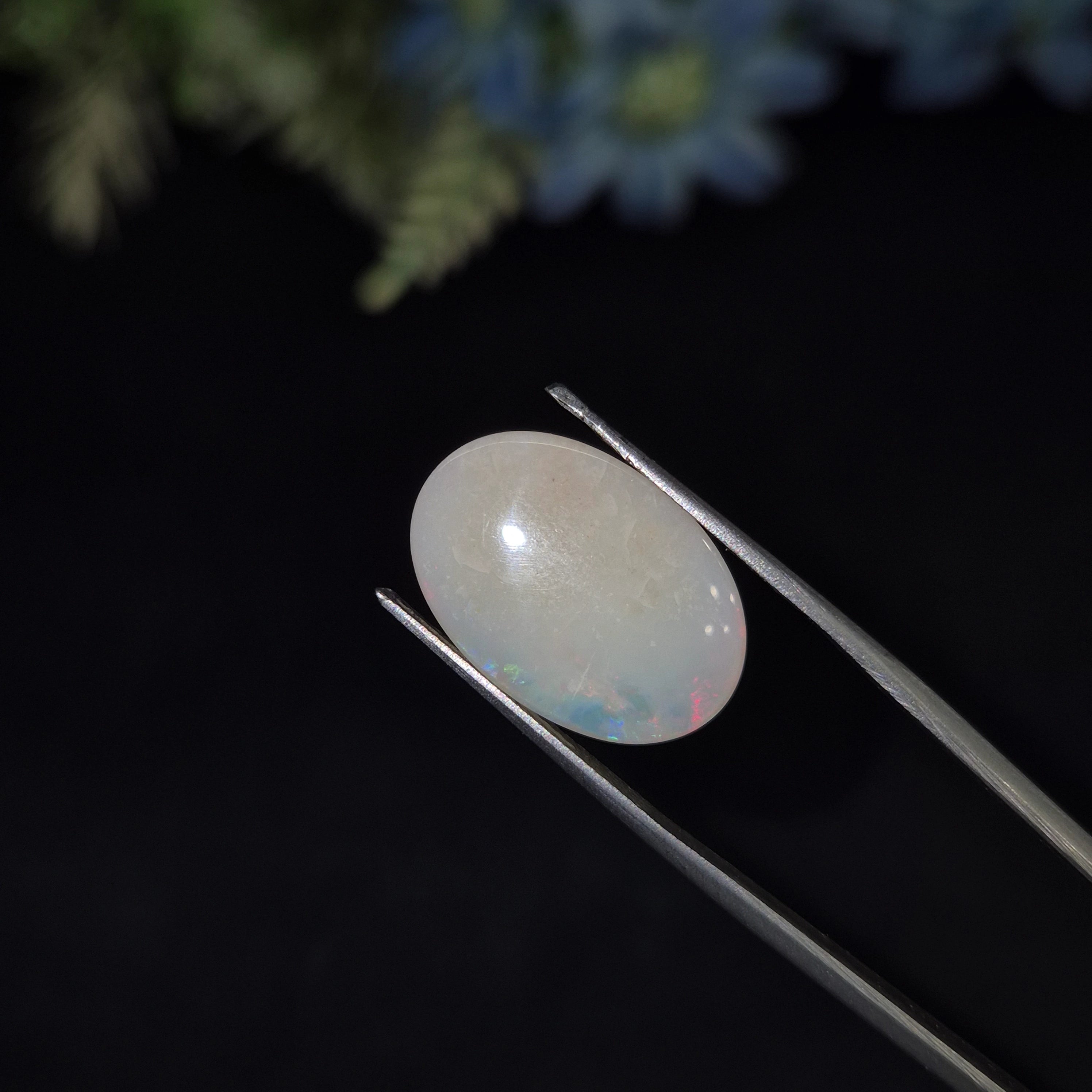 Opal | OPAL 236 | 6.6 Carat