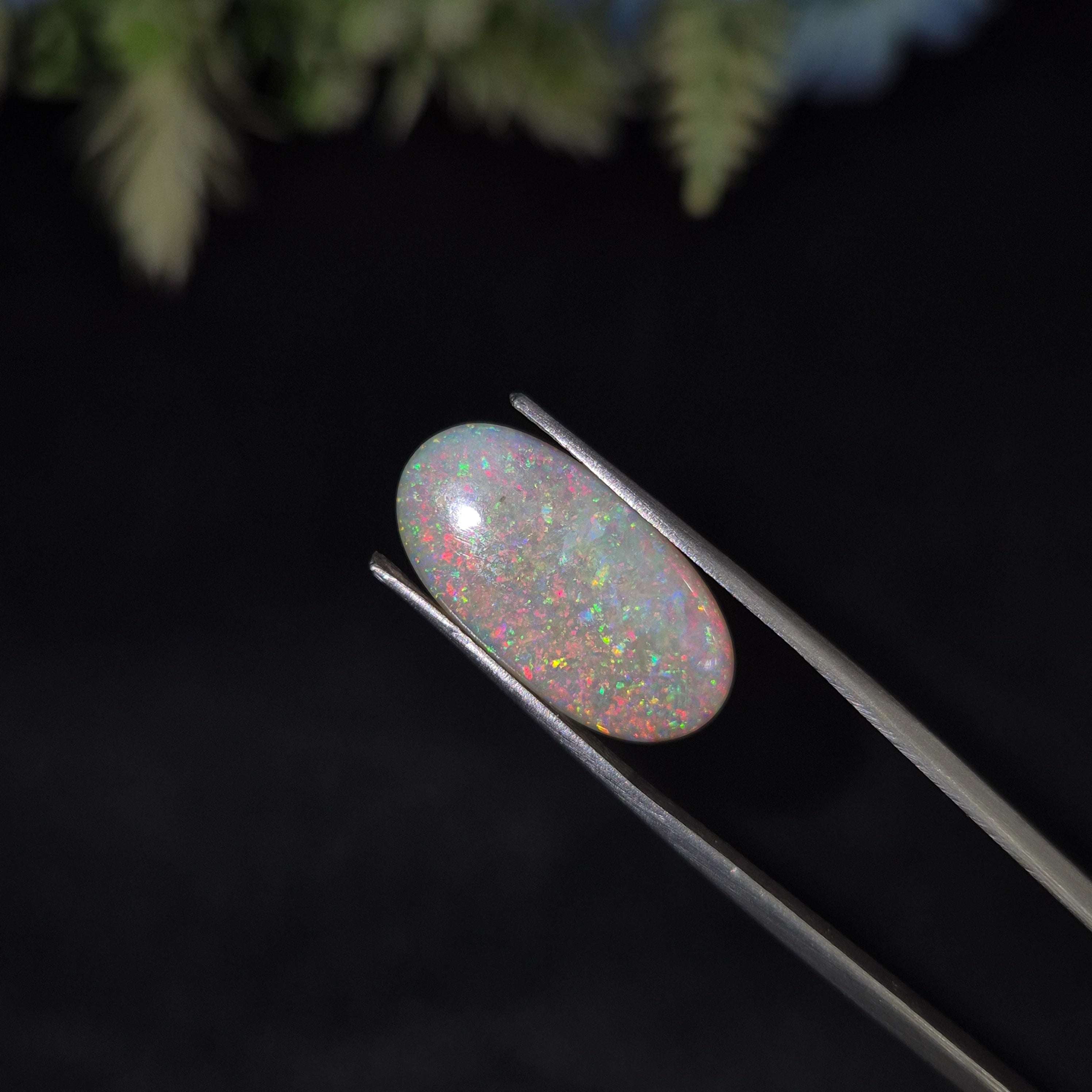 Opal | OPAL 227 | 6.3 Carat
