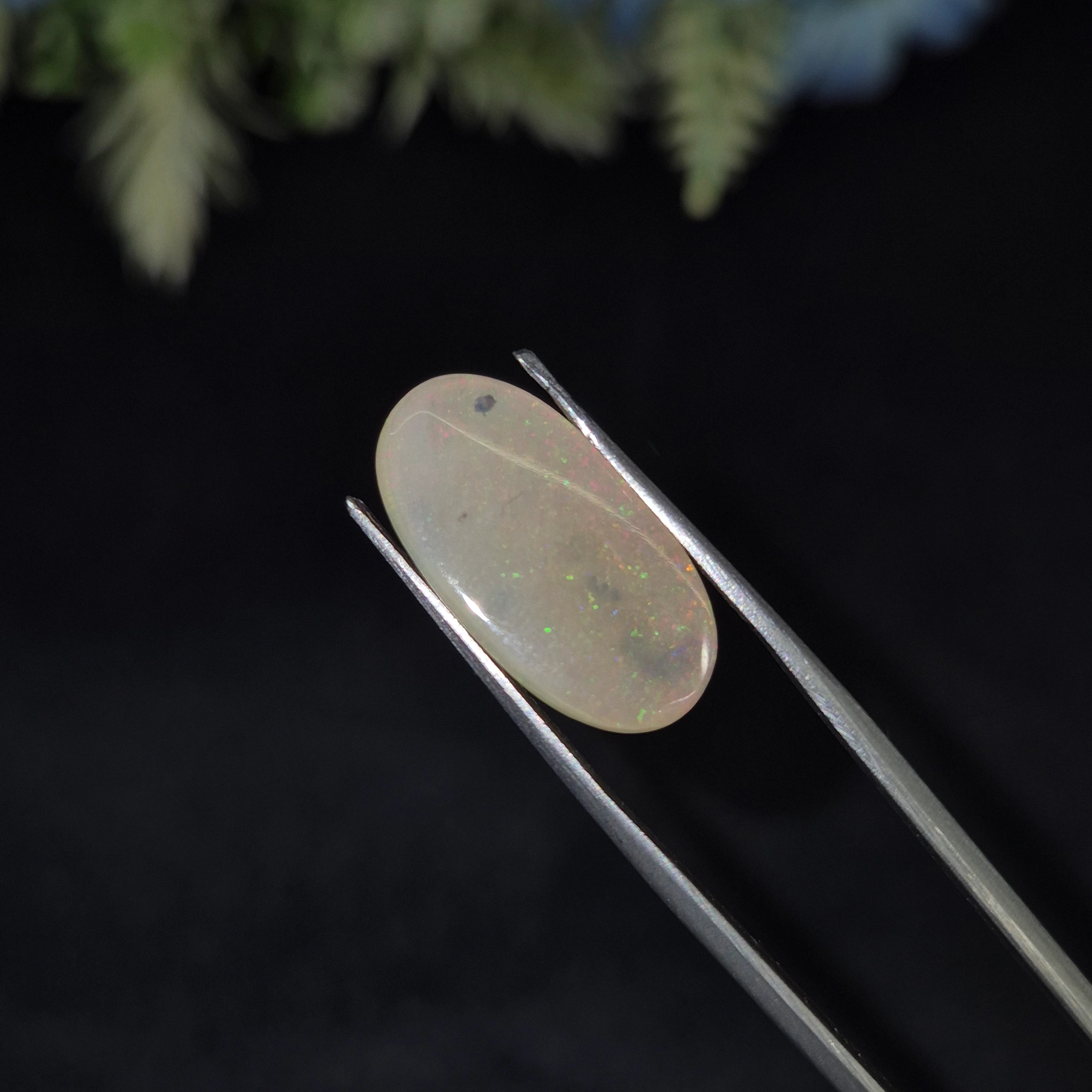 Opal | OPAL 227 | 6.3 Carat