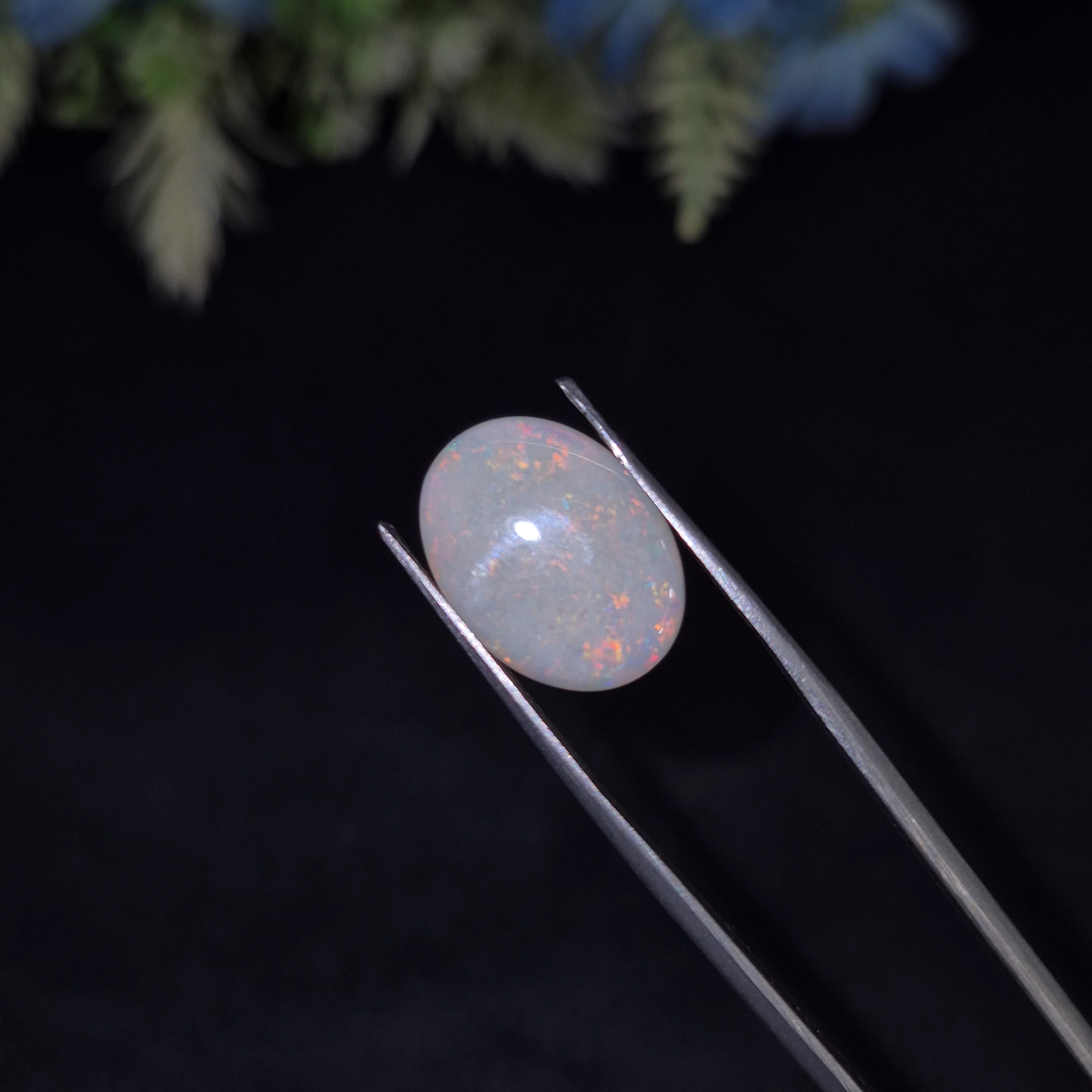 Opal | OPAL 228 | 3.34 Carat