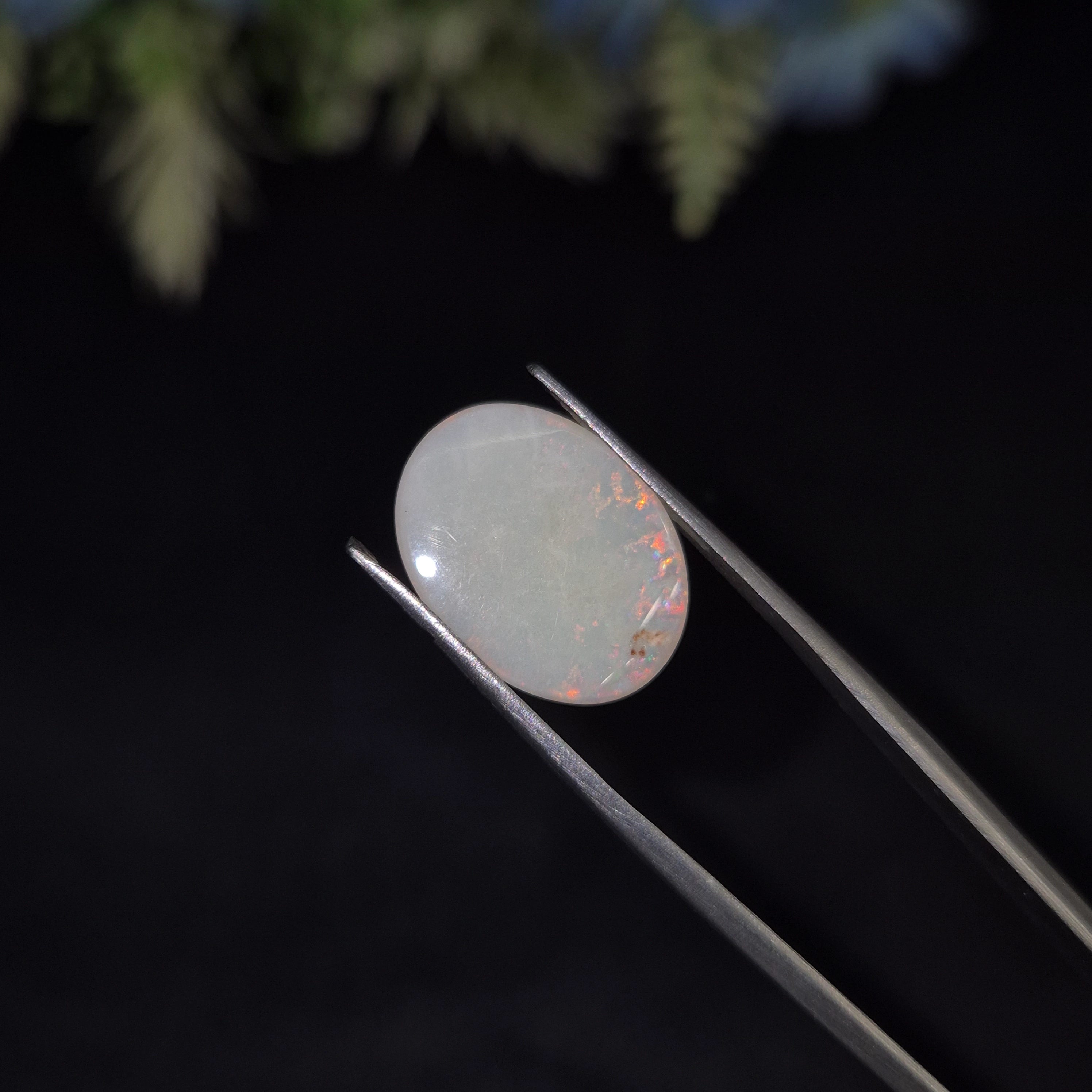 Opal | OPAL 228 | 3.34 Carat