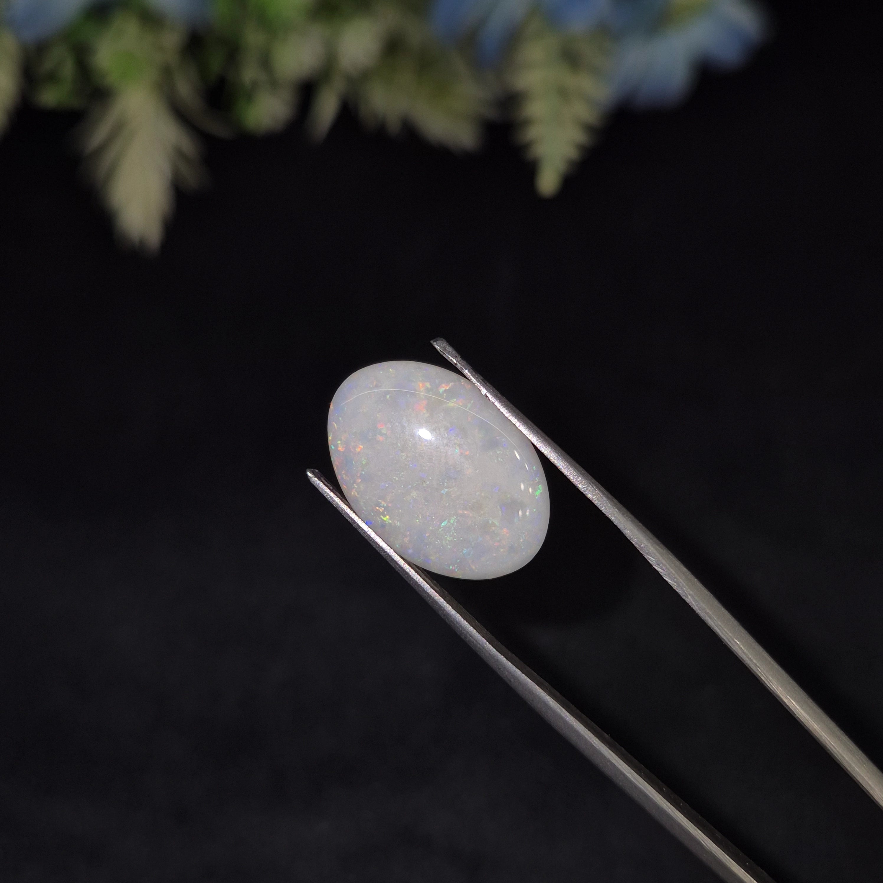 Opal | OPAL 230 | 3.75 Carat
