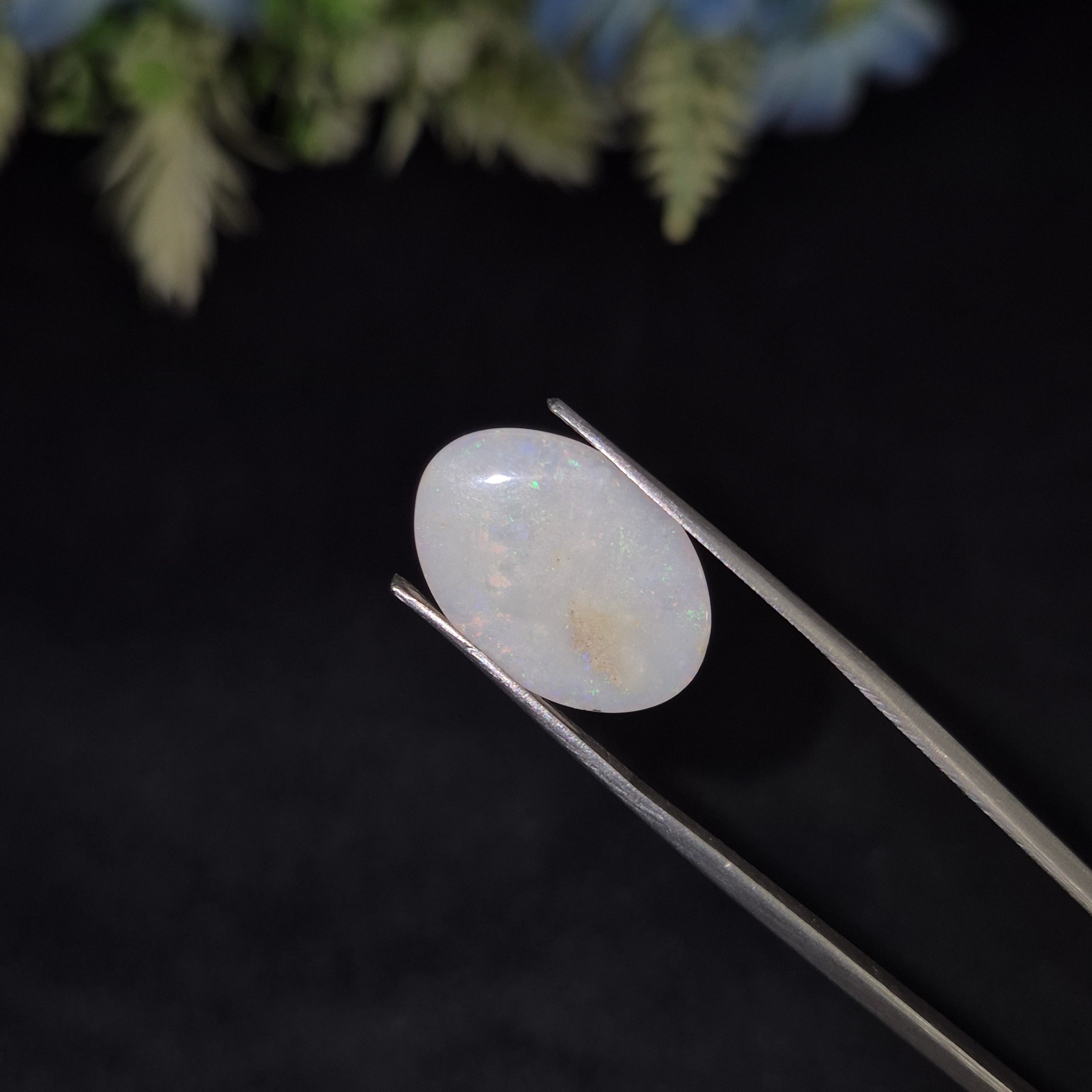 Opal | OPAL 230 | 3.75 Carat