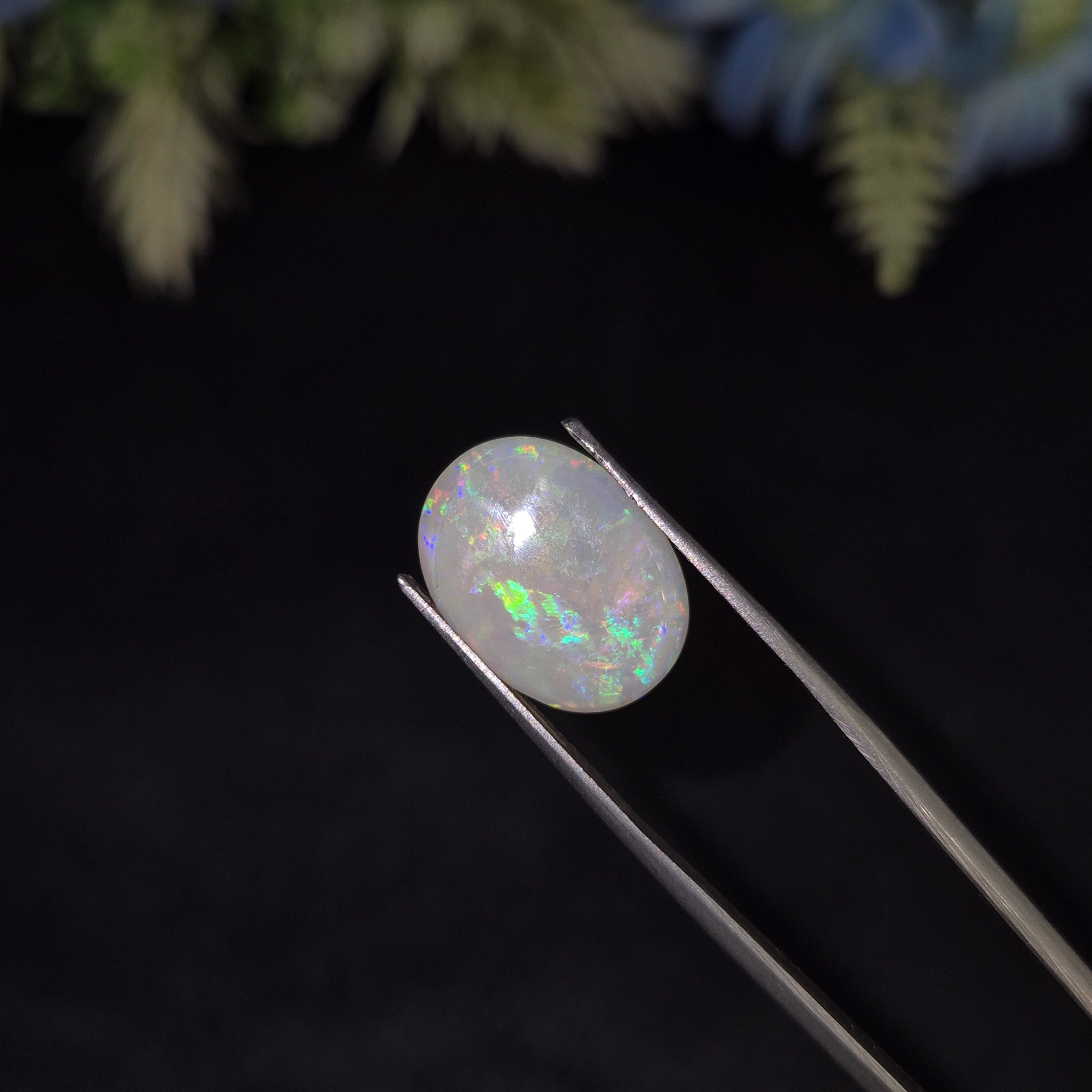 Opal | OPAL 229 | 3.17 Carat