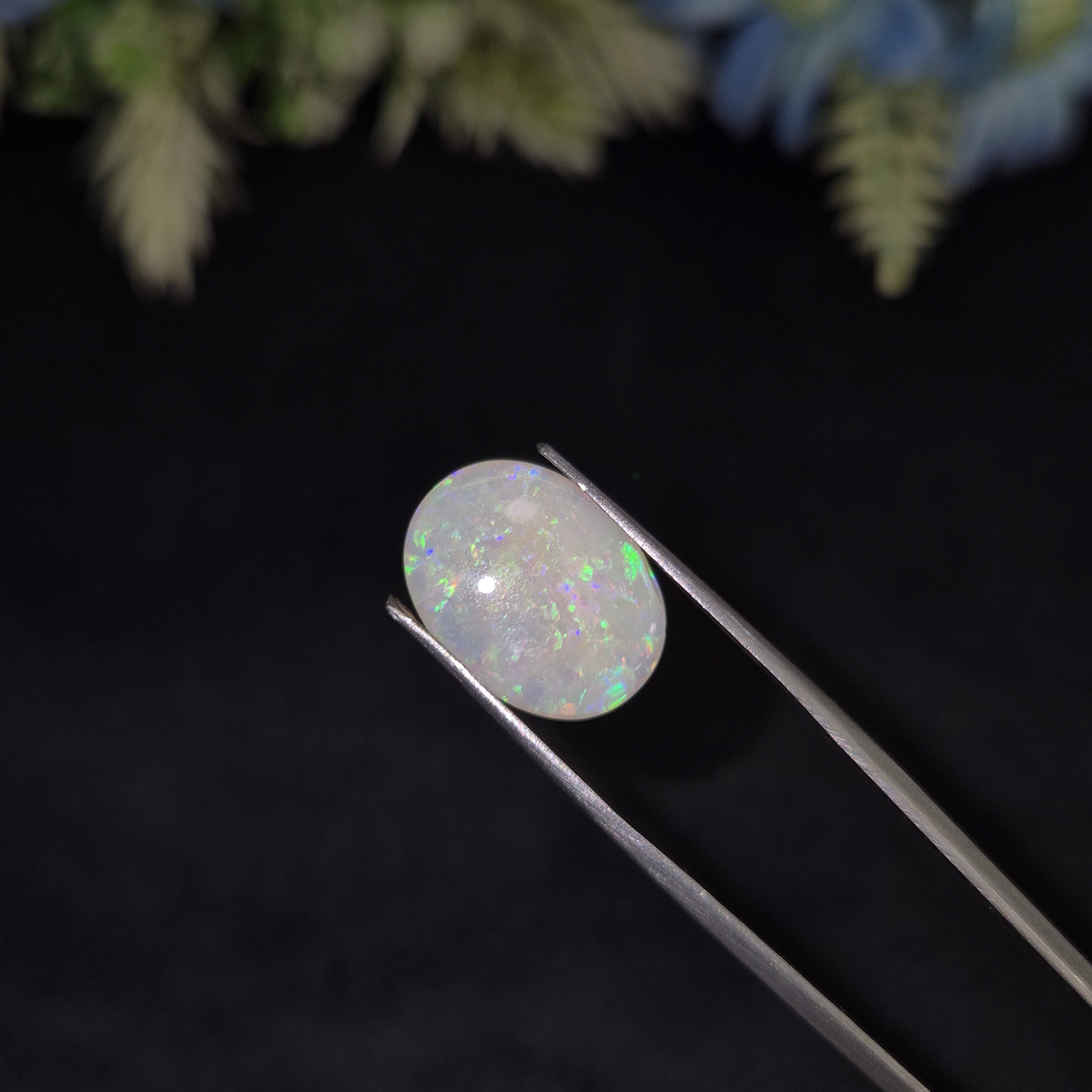 Opal | OPAL 229 | 3.17 Carat