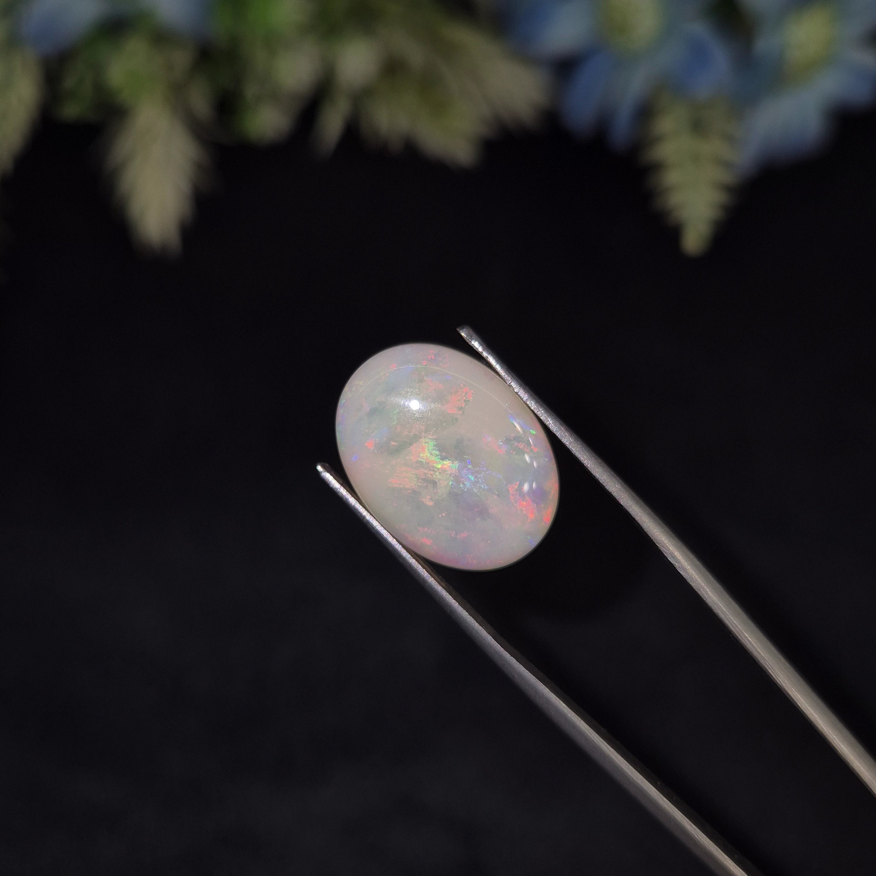 Opal | OPAL 225 | 7.89 Carat