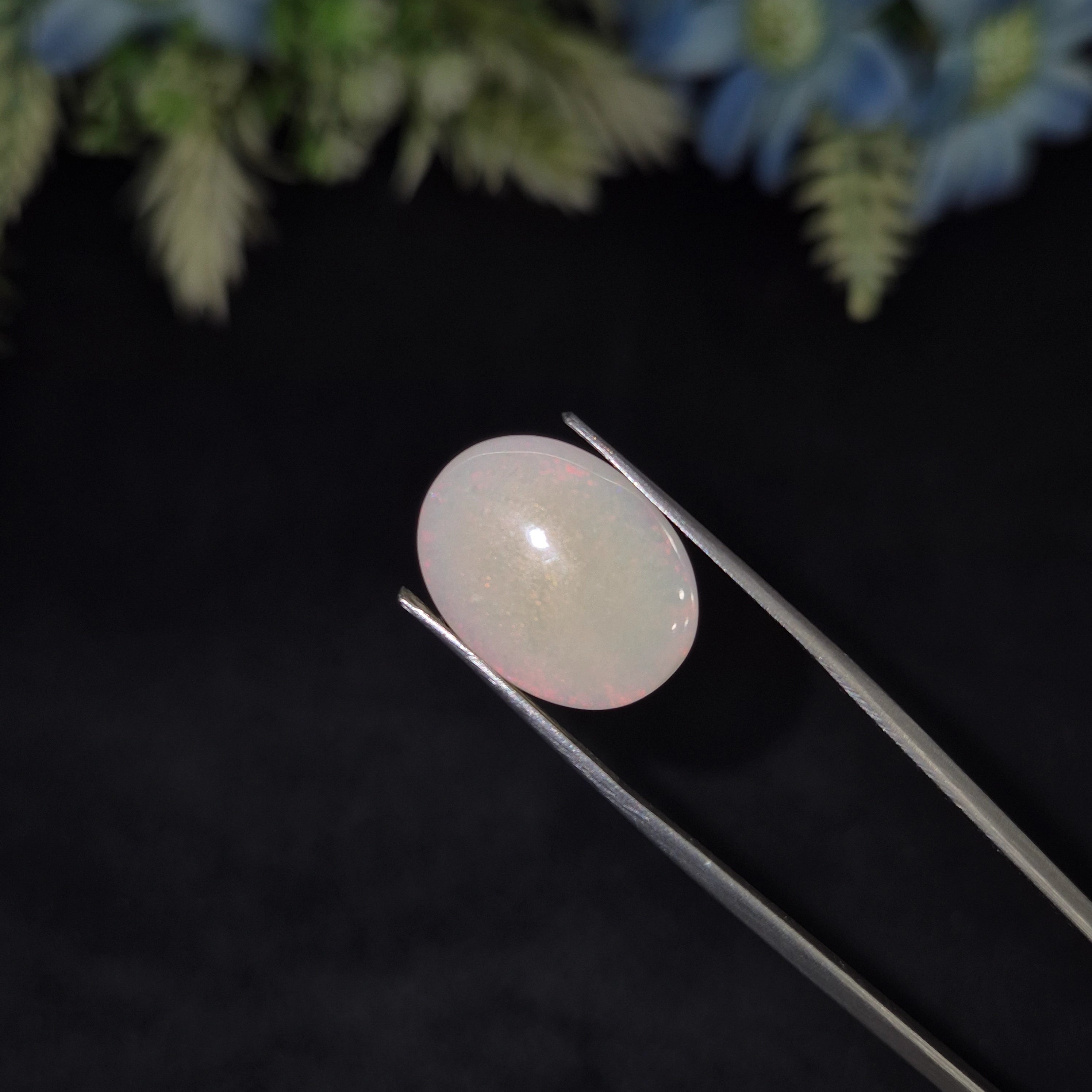 Opal | OPAL 225 | 7.89 Carat