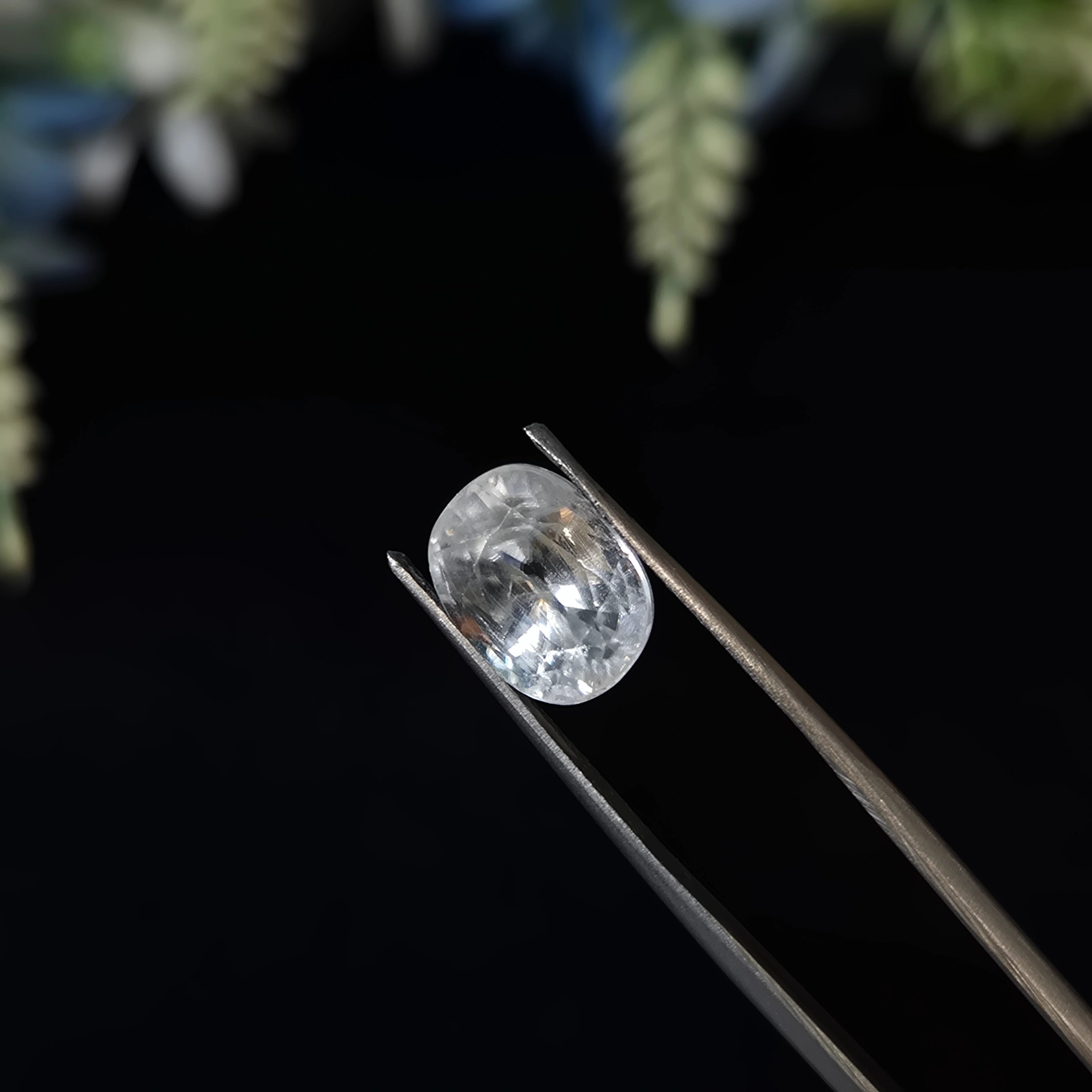 Zircon | ZIR 5 | 7.8 Carat